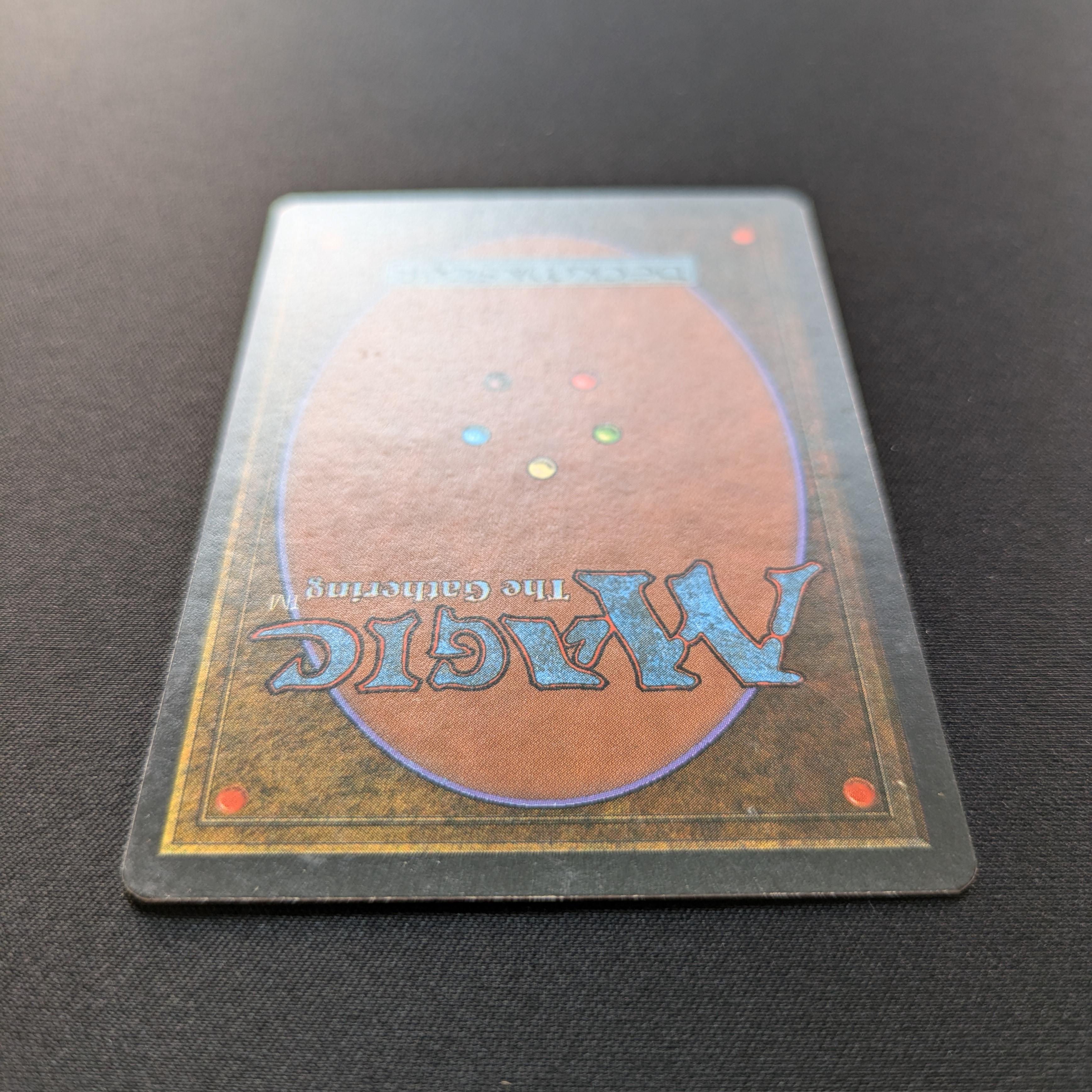 MTG Singles - Taiga - Foreign White Bordered - 