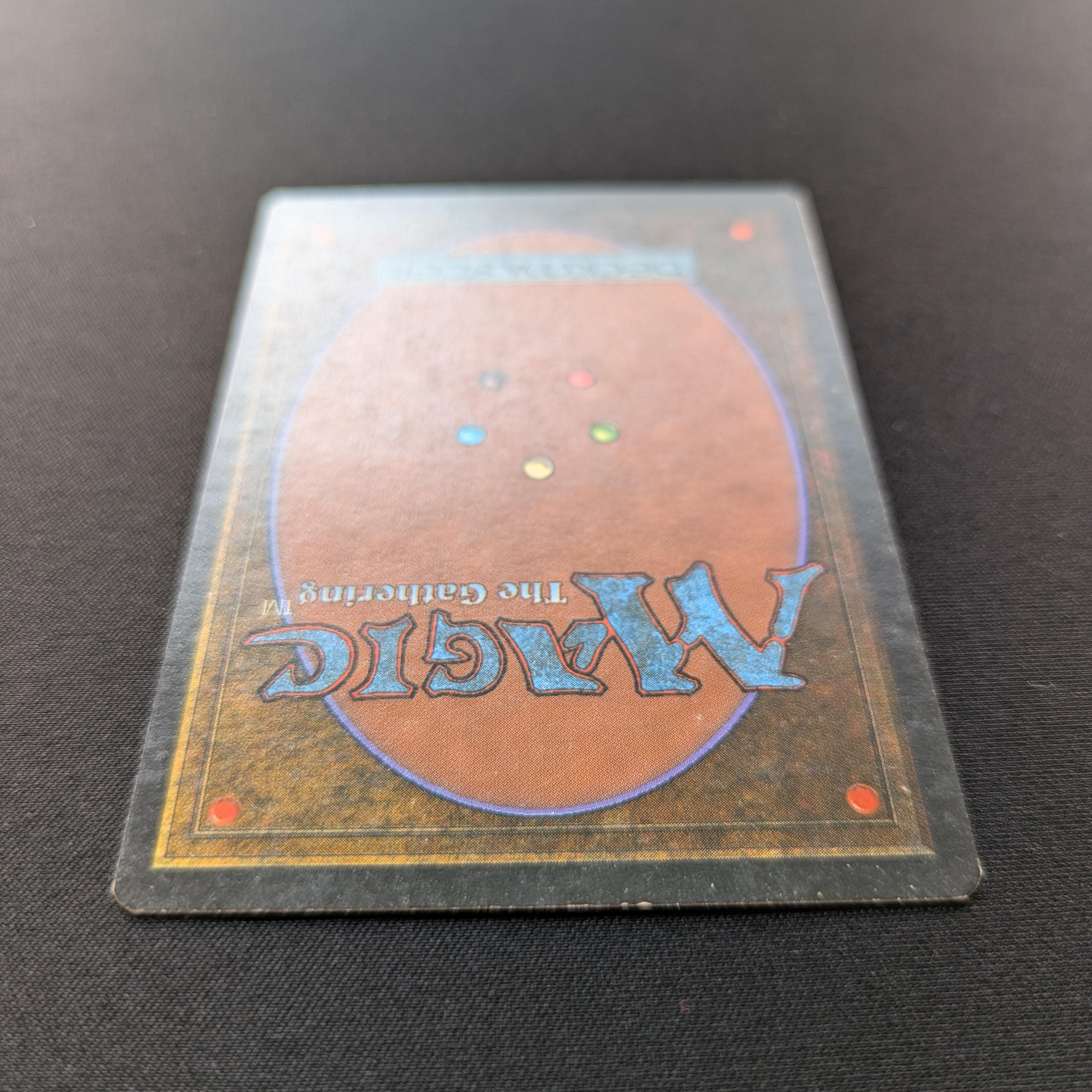 MTG Singles - Taiga - Foreign White Bordered - 