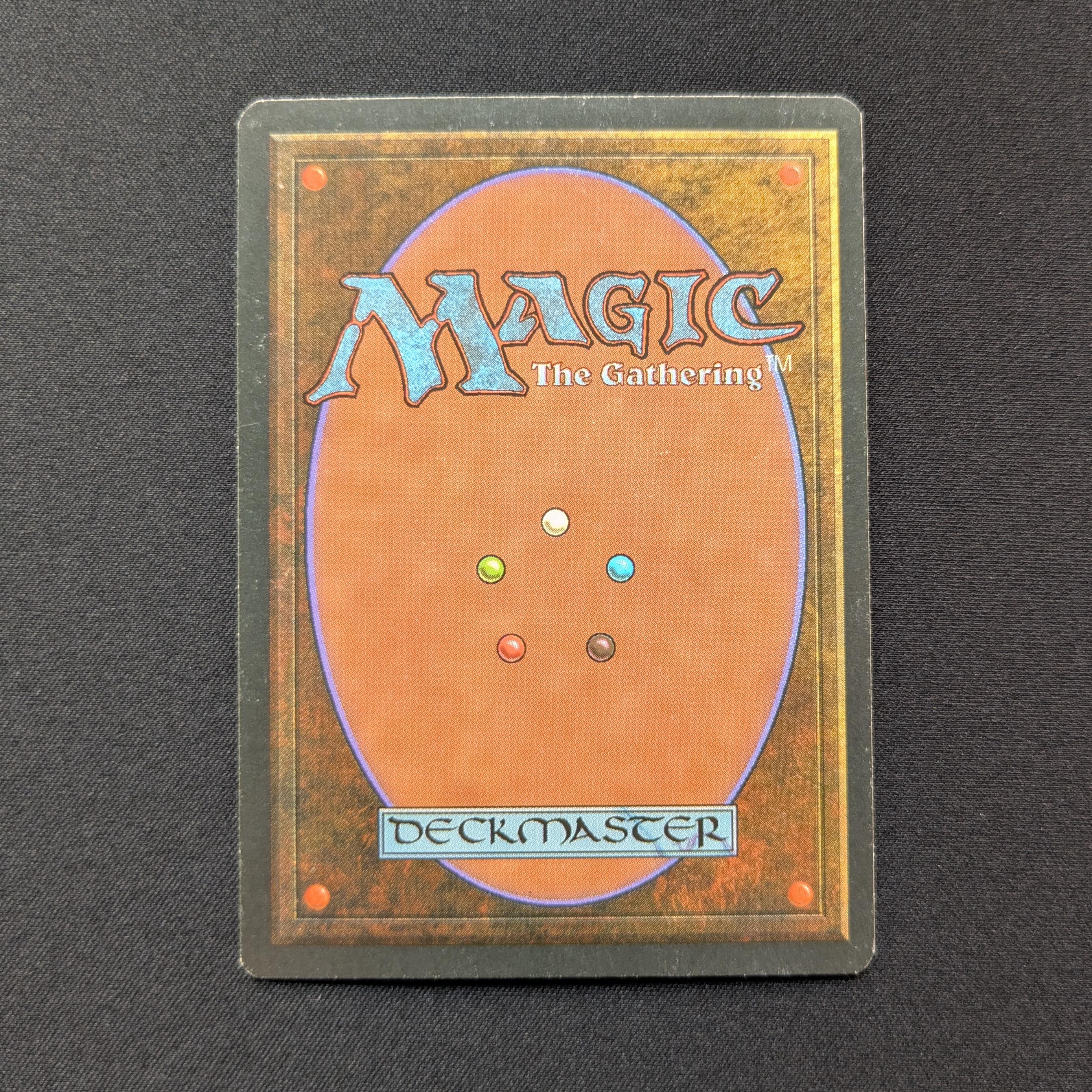 MTG Singles - Tundra - Foreign White Bordered - 