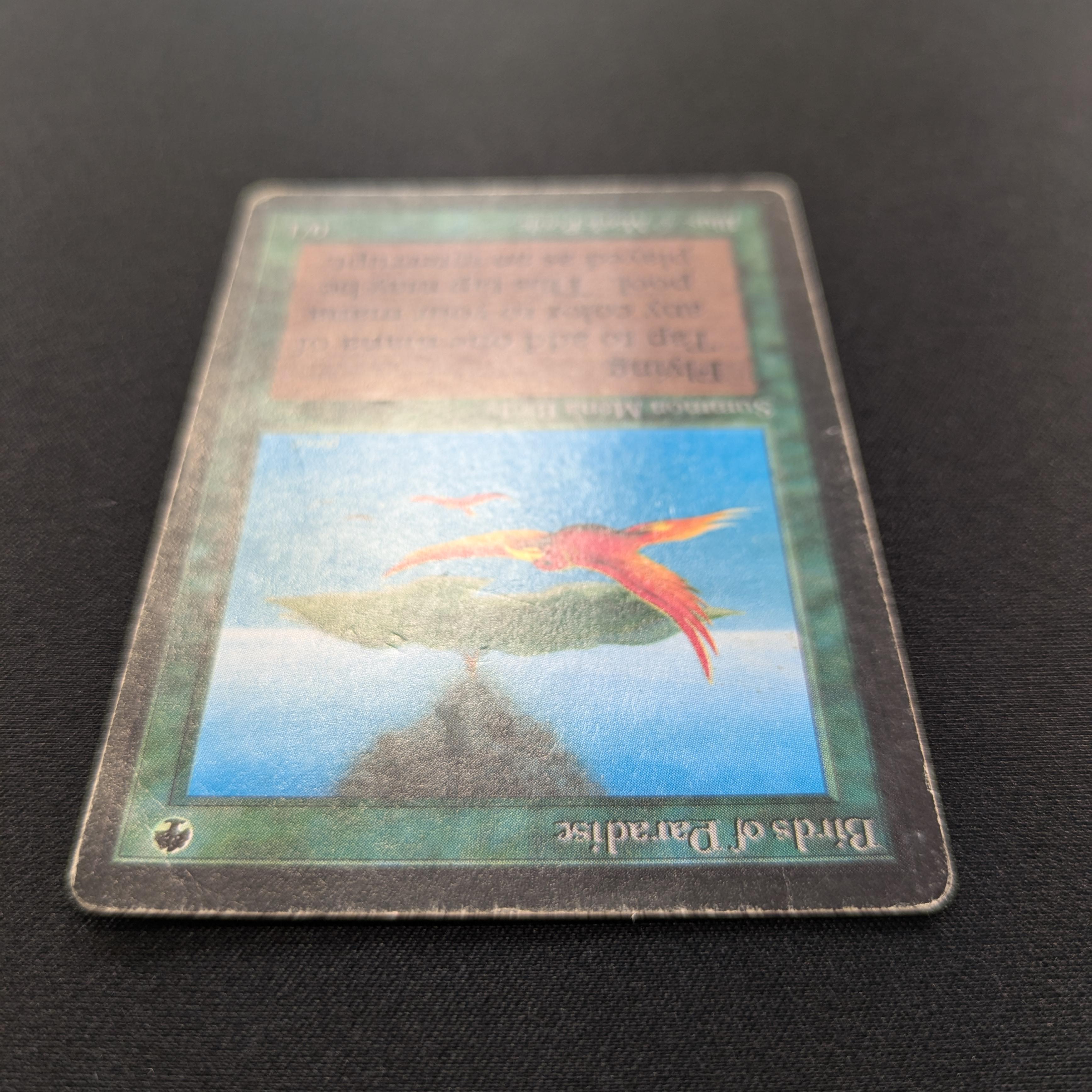 MTG Singles - Birds of Paradise - Beta - 
