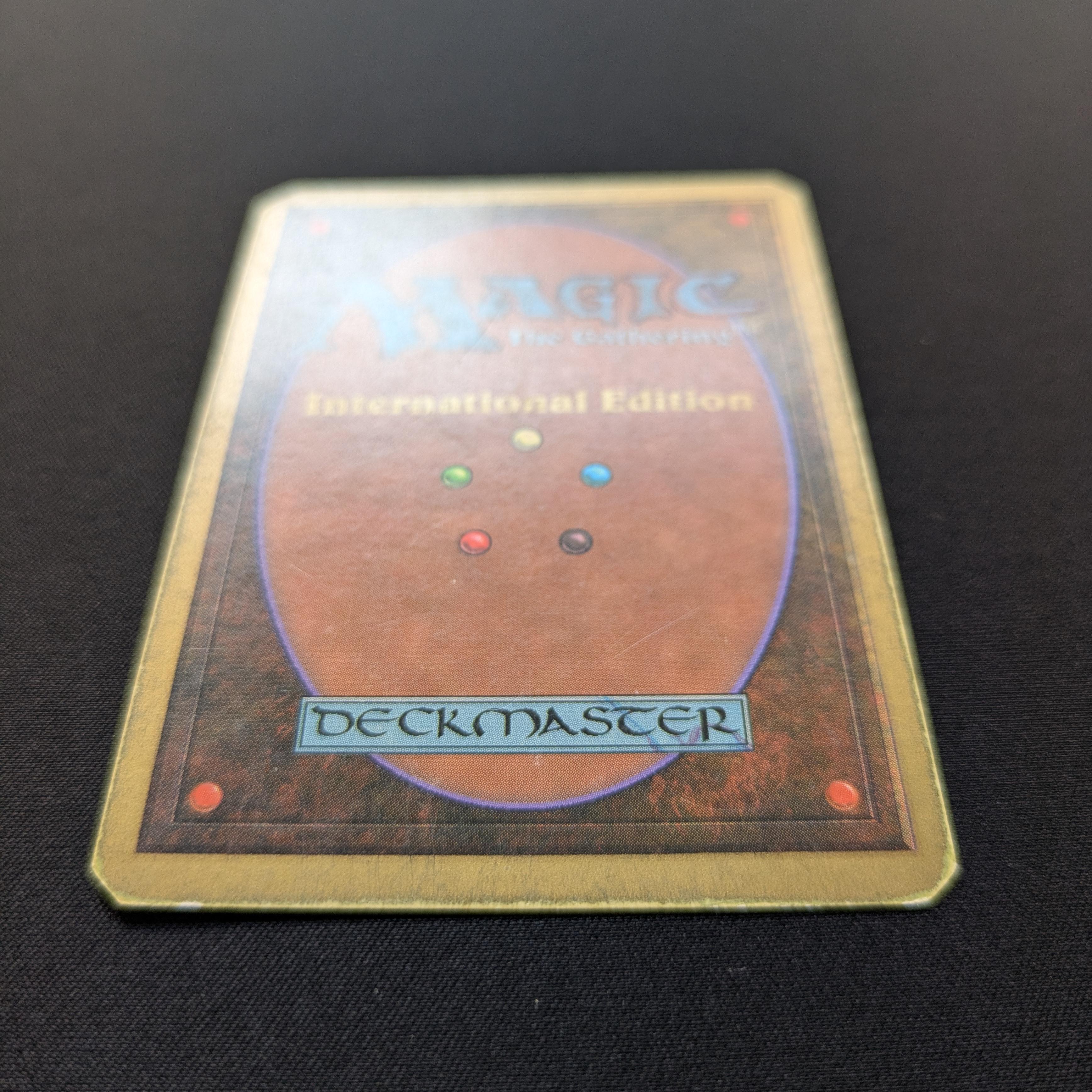 MTG Singles - Tundra - International Edition - 