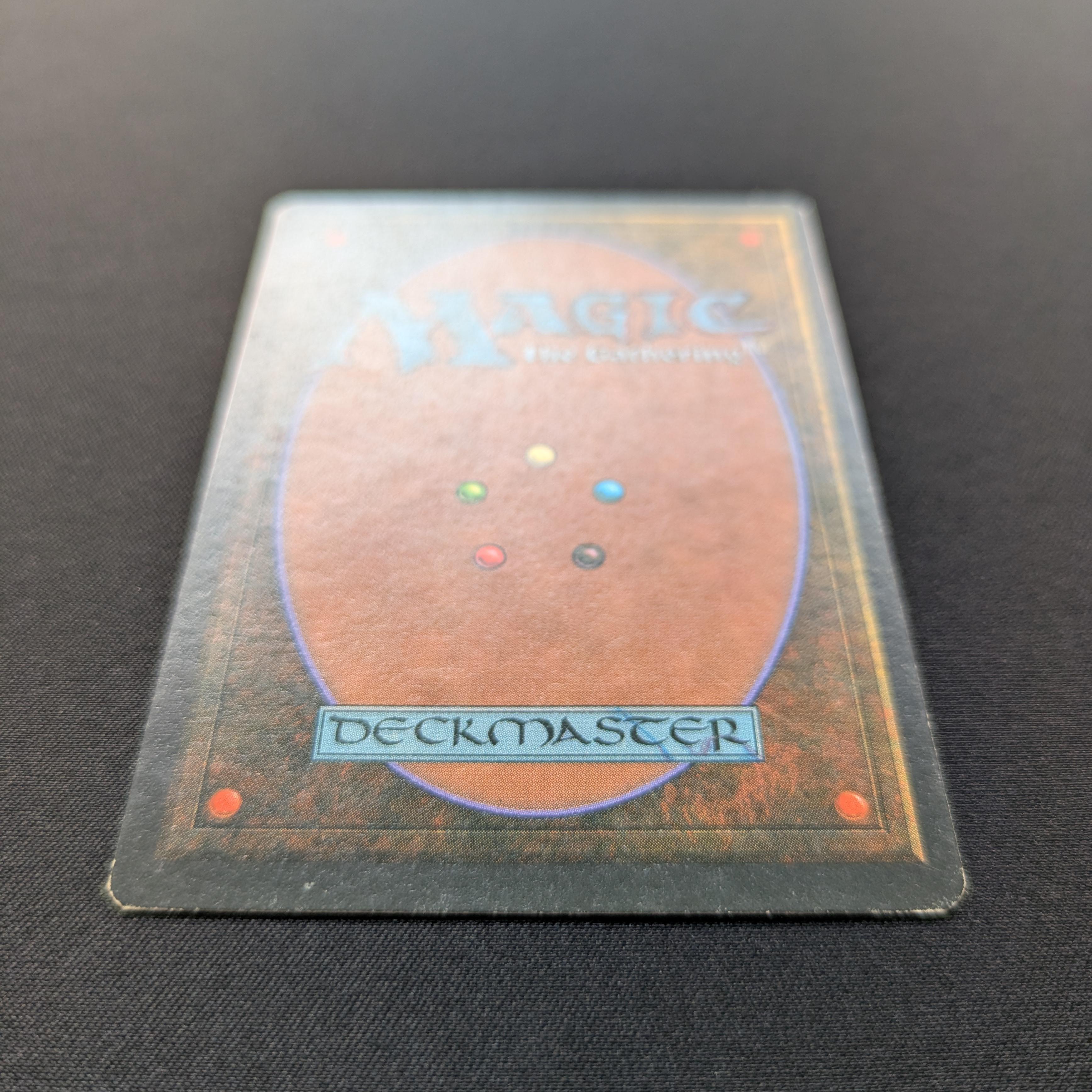 MTG Singles - Taiga - Foreign White Bordered - 