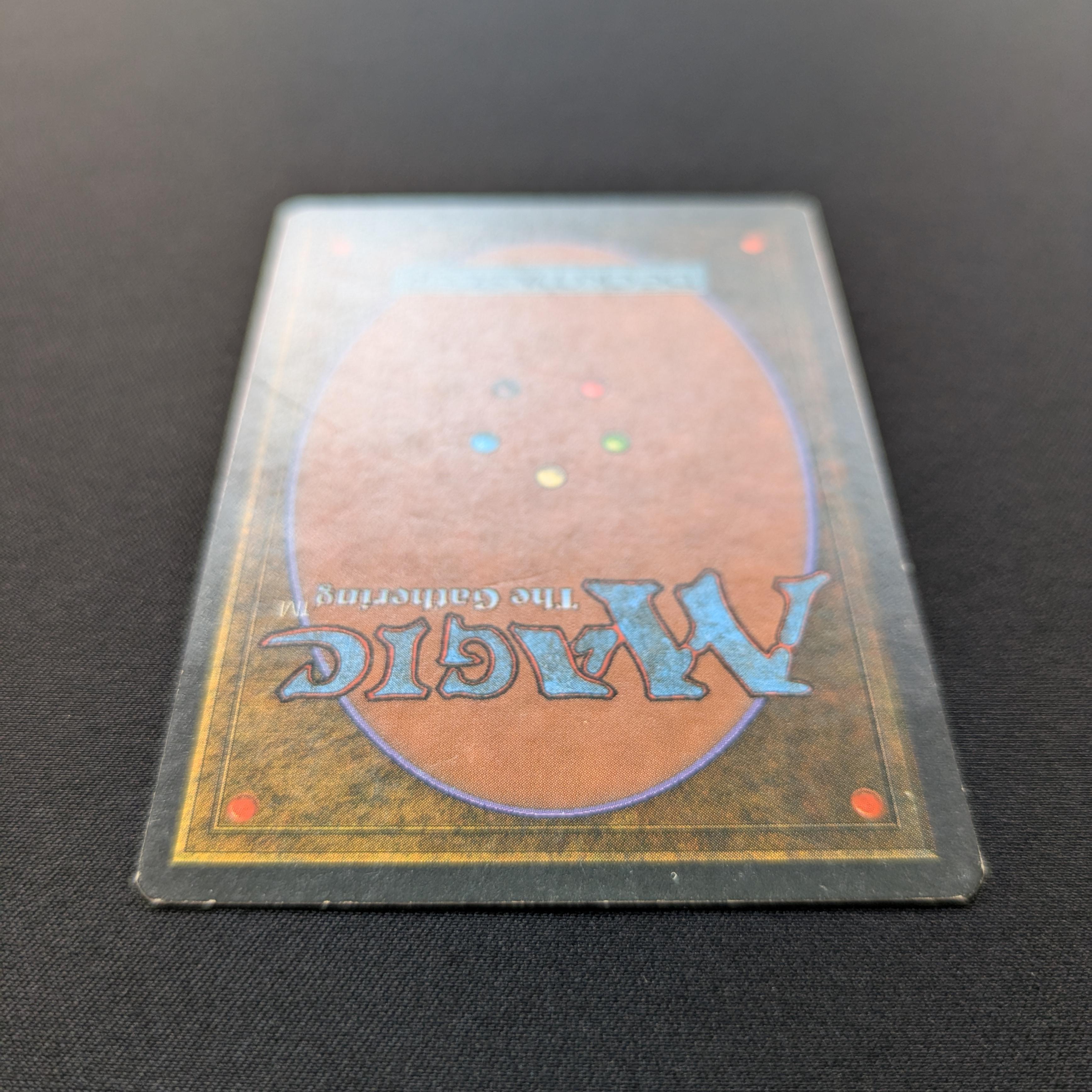 MTG Singles - Taiga - Foreign White Bordered - 