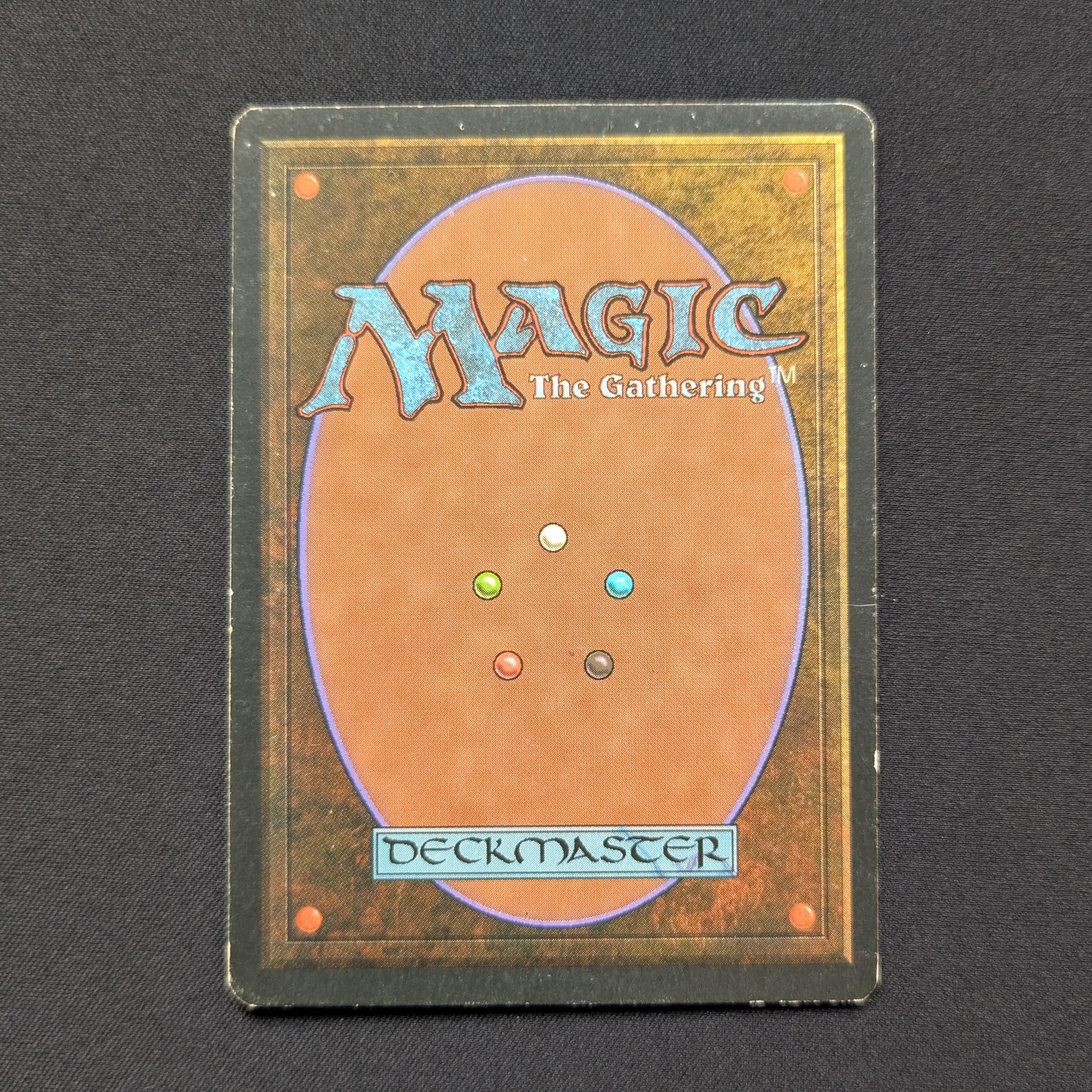 MTG Singles - Taiga - Foreign White Bordered - 