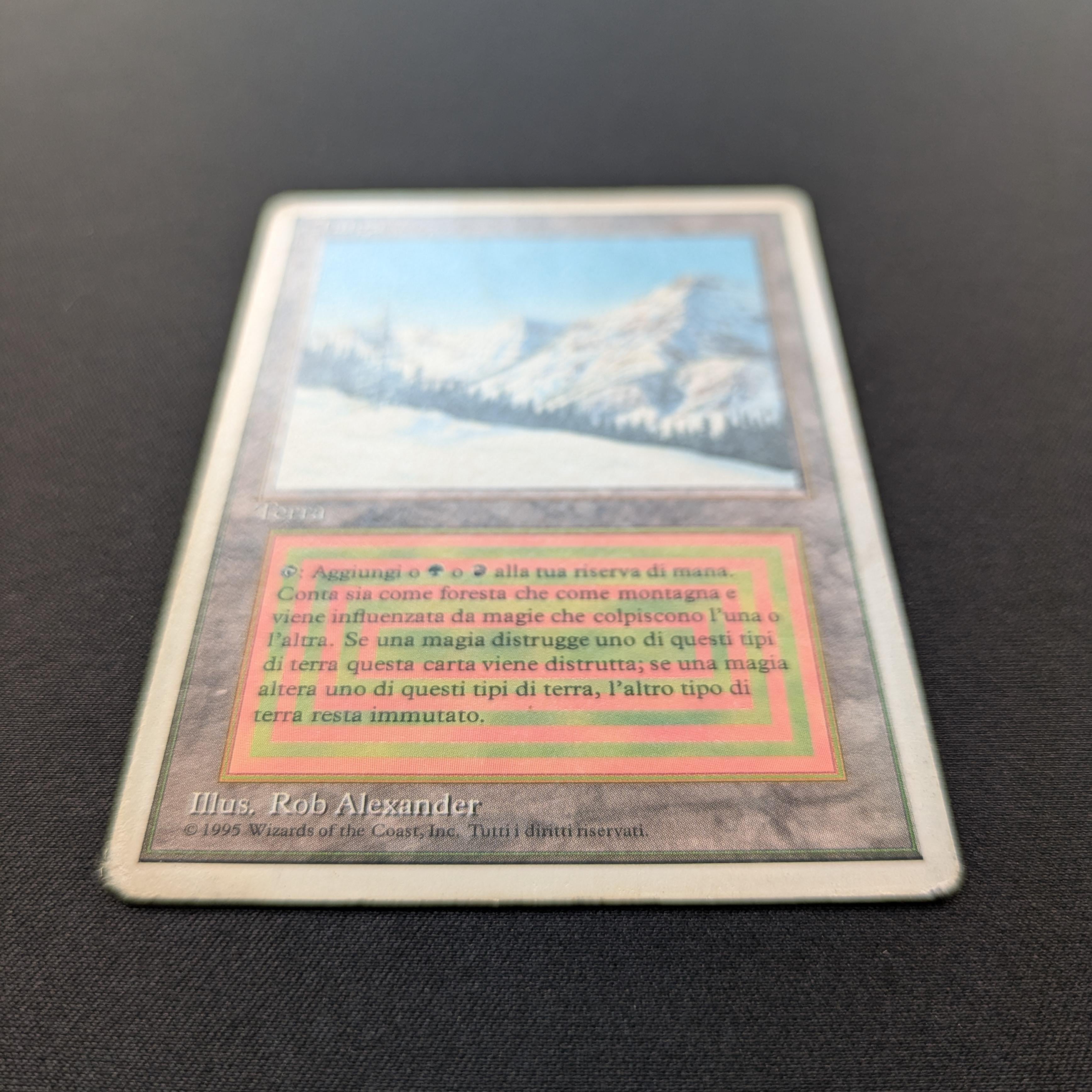 MTG Singles - Taiga - Foreign White Bordered - 