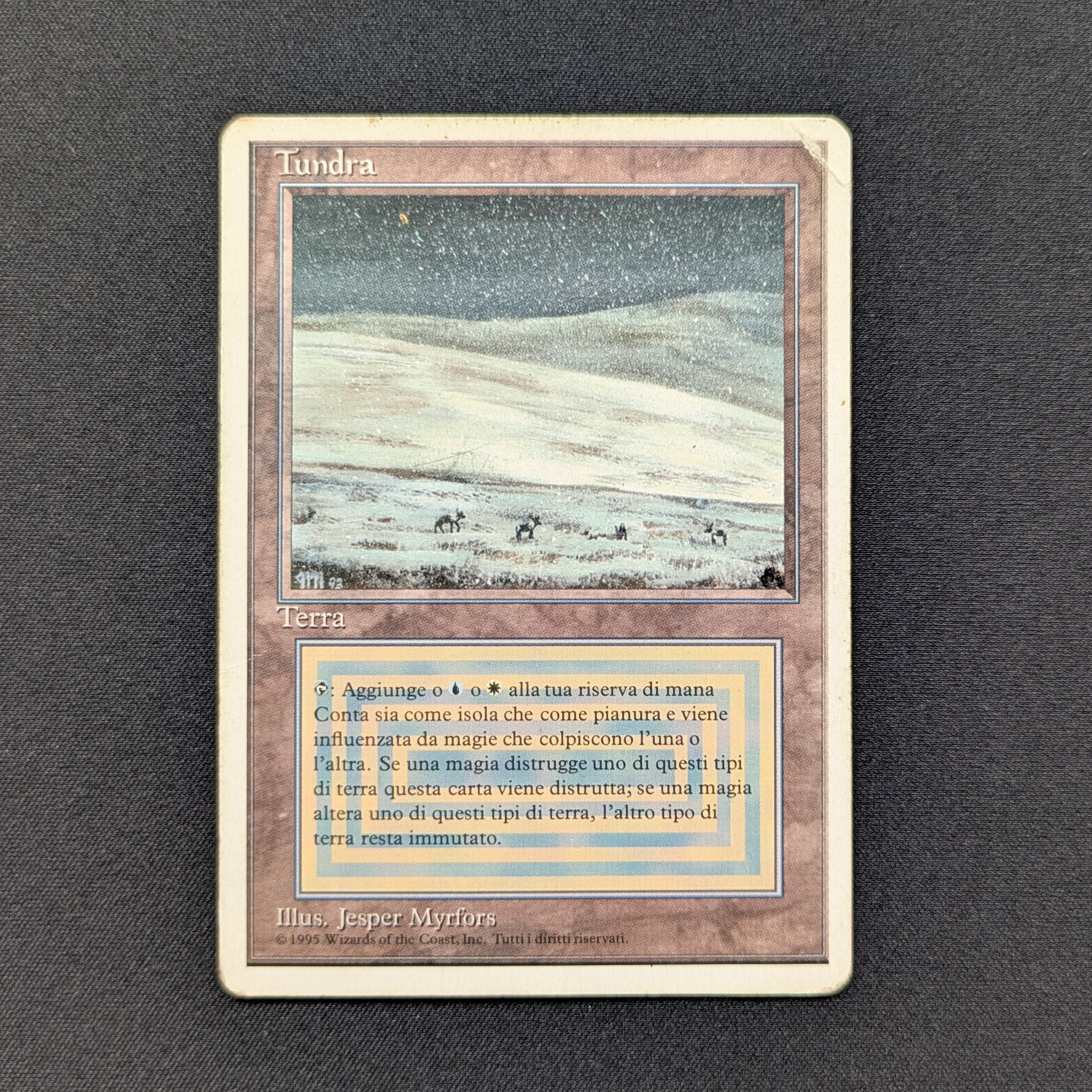 MTG Singles - Tundra - Foreign White Bordered - 