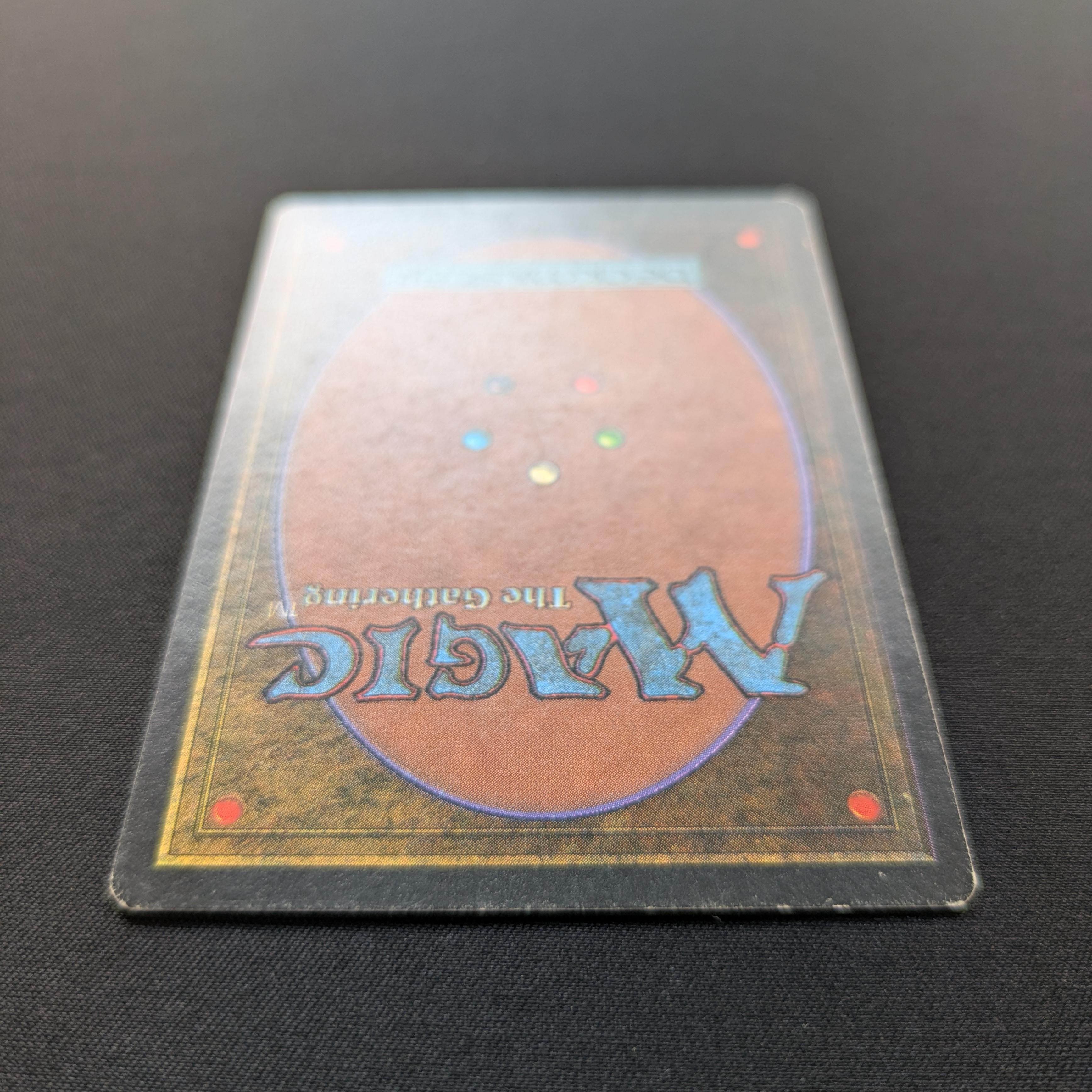 MTG Singles - Tundra - Foreign Black Bordered - 