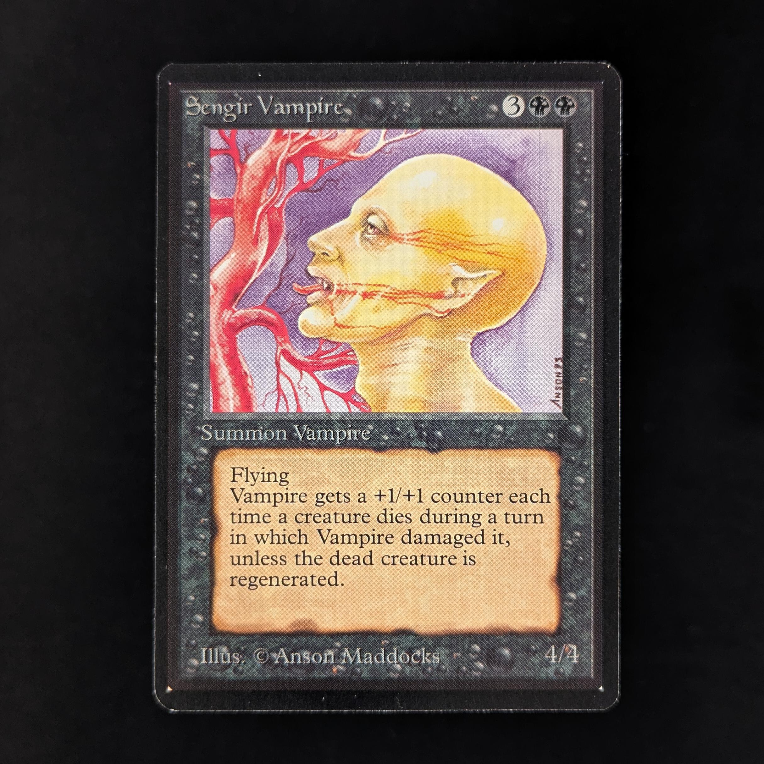 MTG Singles - Sengir Vampire - Beta - 