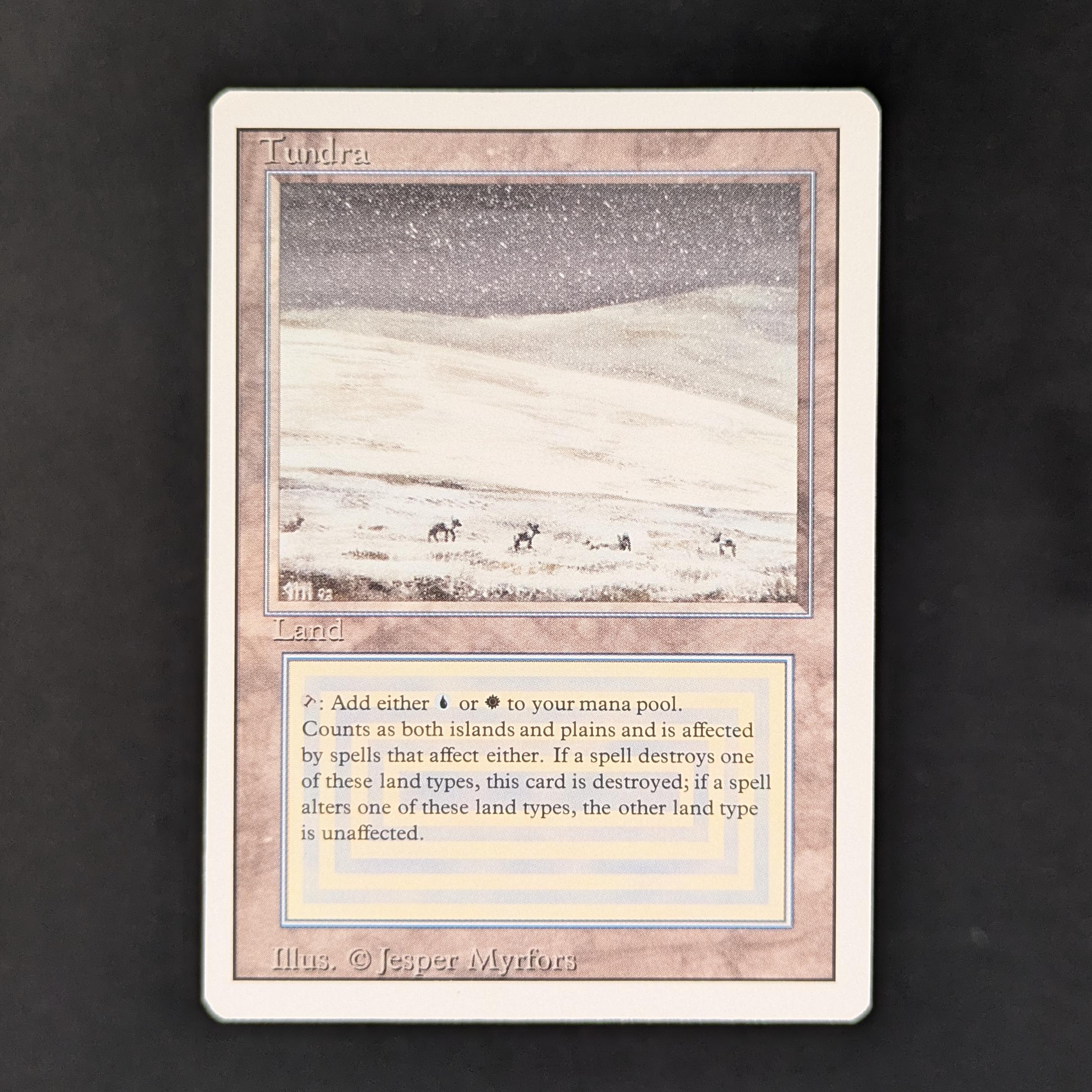 MTG Singles - Tundra - Revised - 