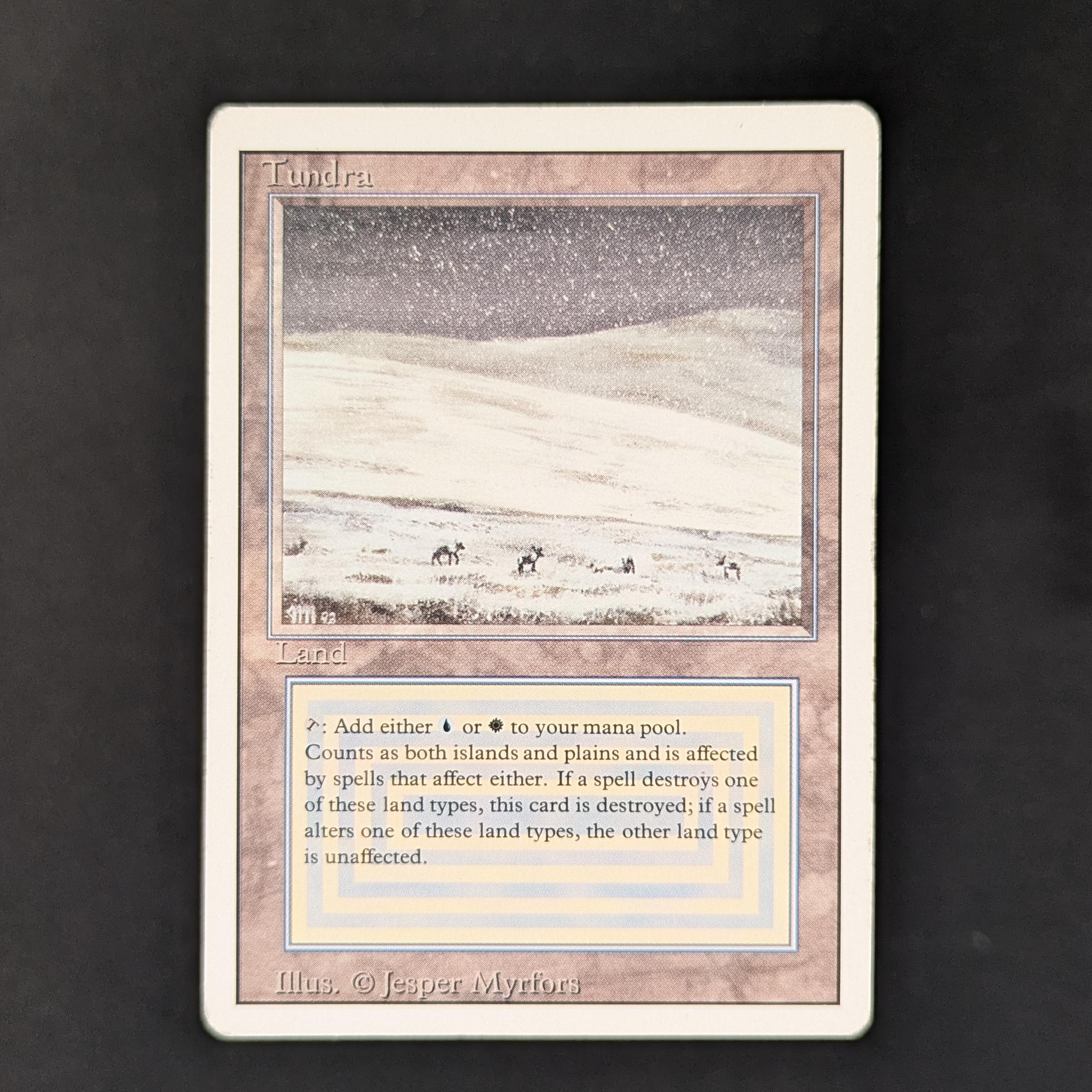 MTG Singles - Tundra - Revised - 