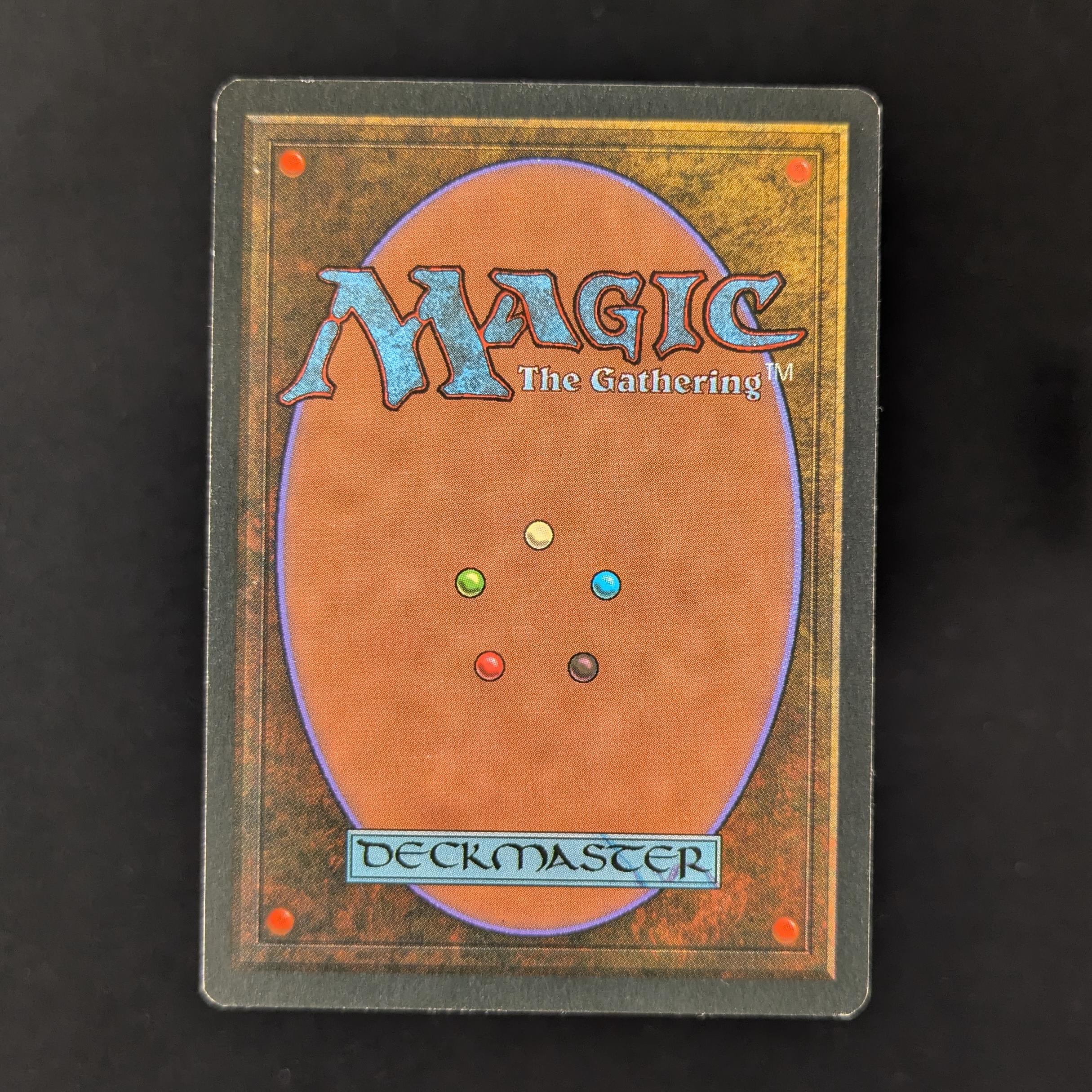 MTG Singles - Bayou - Foreign Black Bordered - 