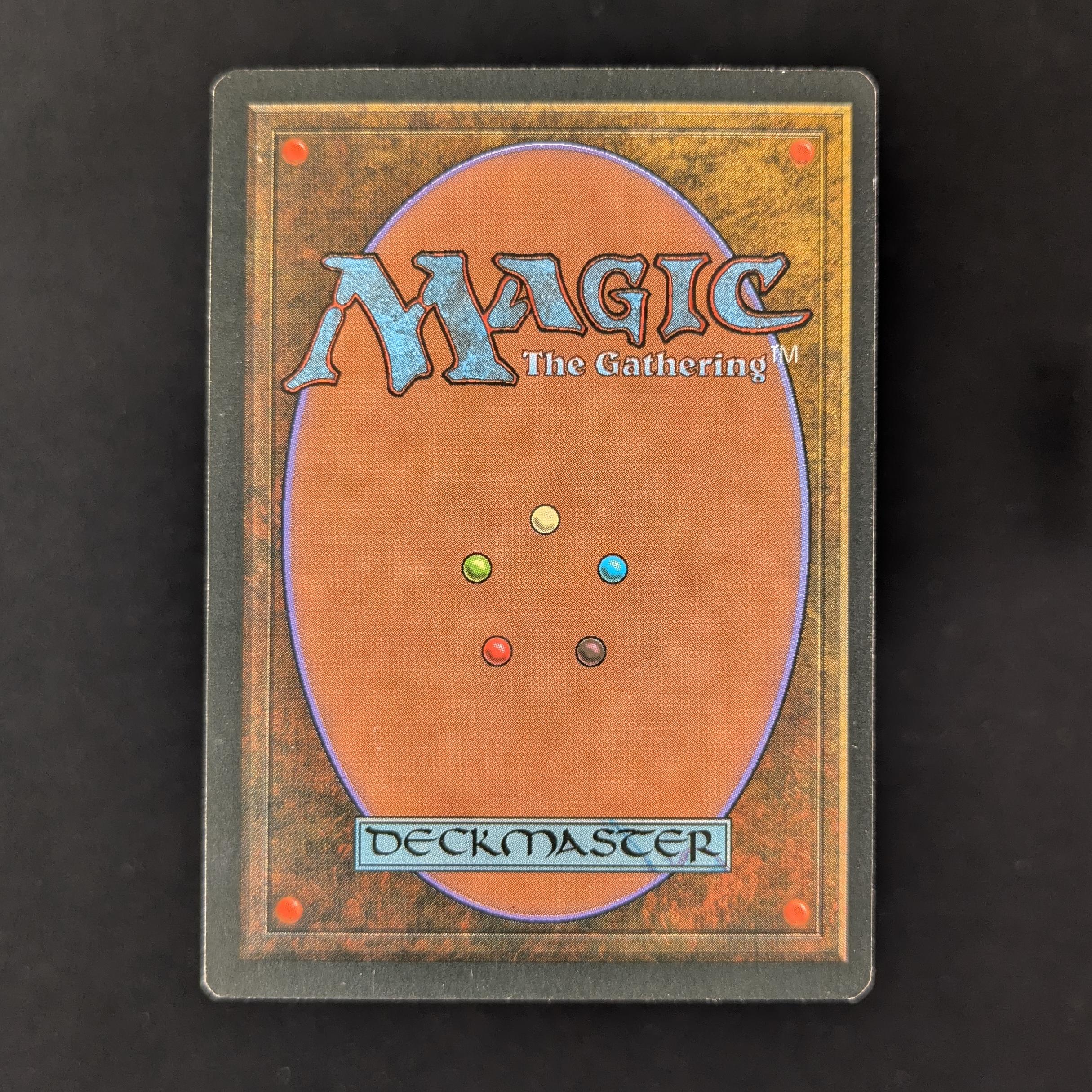 MTG Singles - Taiga - Foreign Black Bordered - 