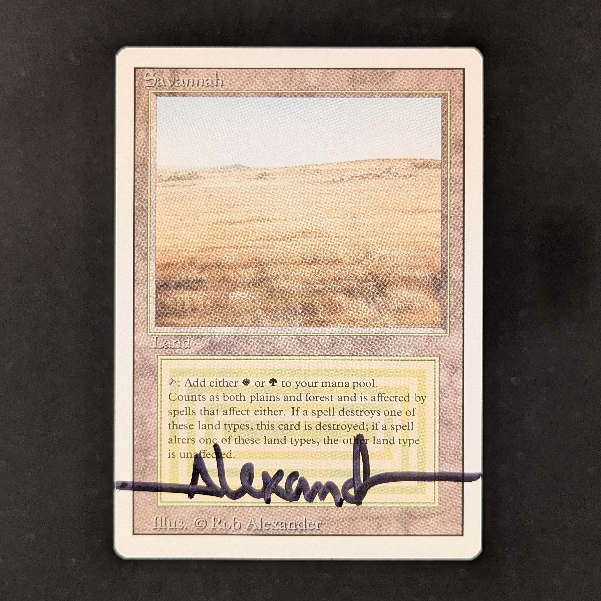 MTG Singles - Savannah - Revised - NM - SIGNED - 29921