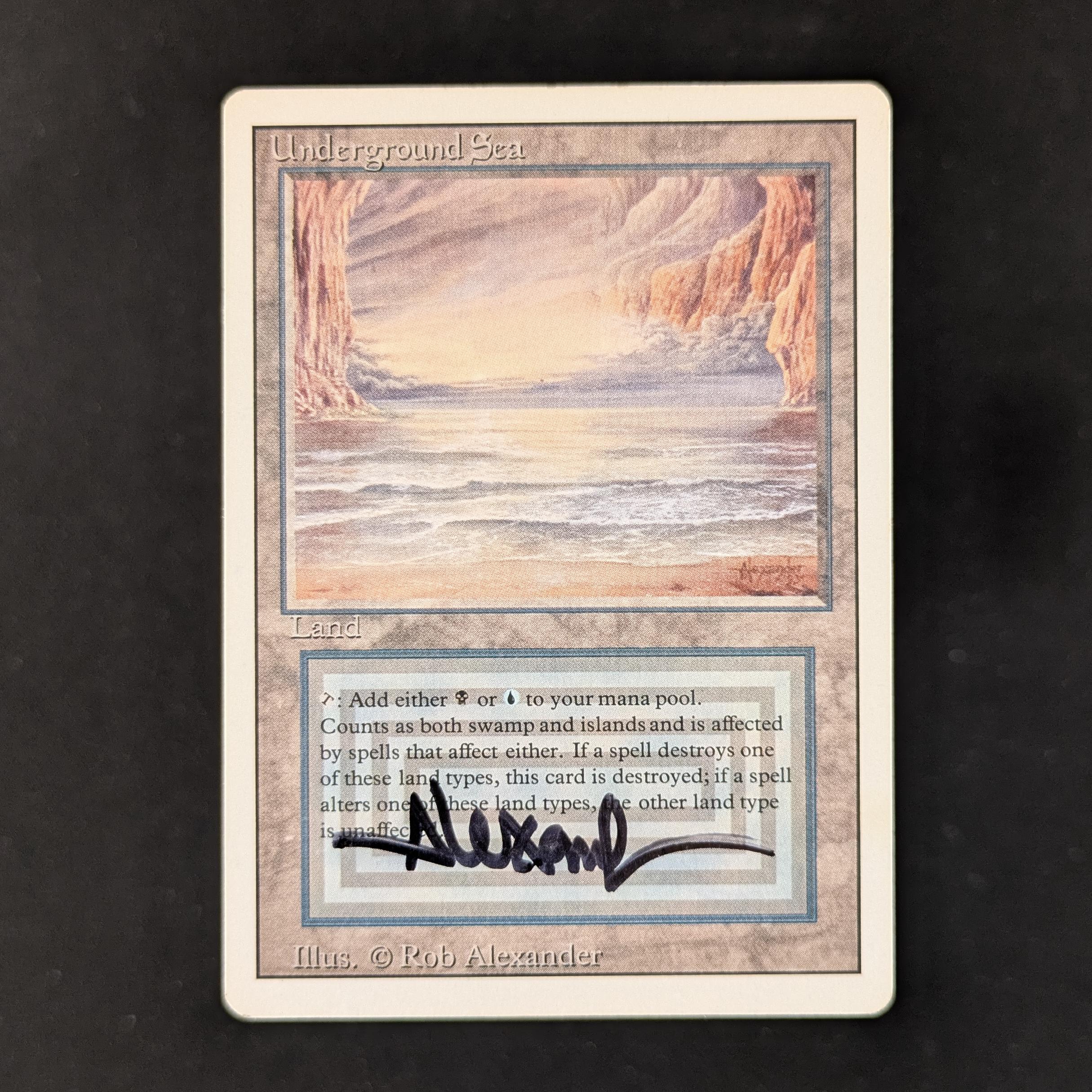 MTG Singles - Underground Sea - Revised - LP - SIGNED - 29939