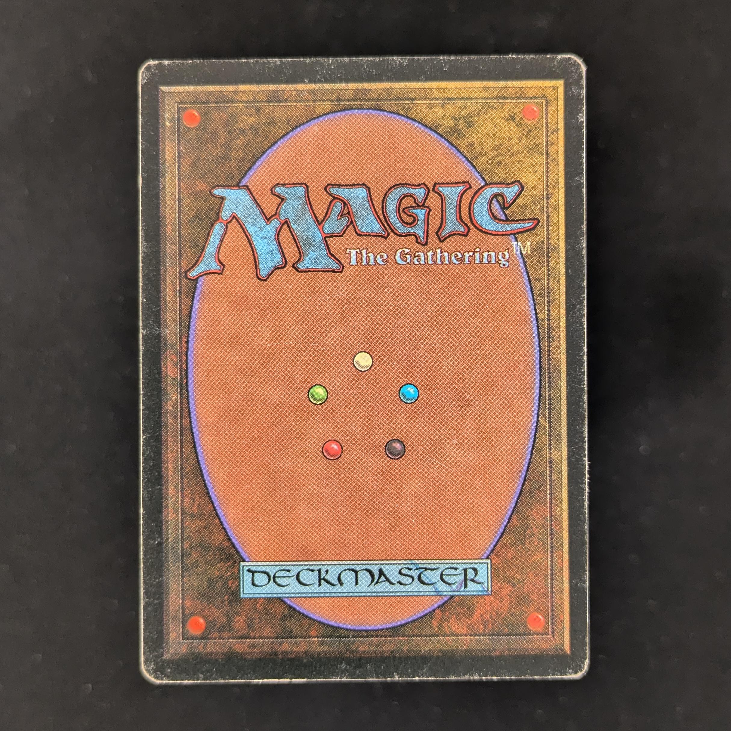 MTG Singles - Bayou - Foreign Black Bordered - 