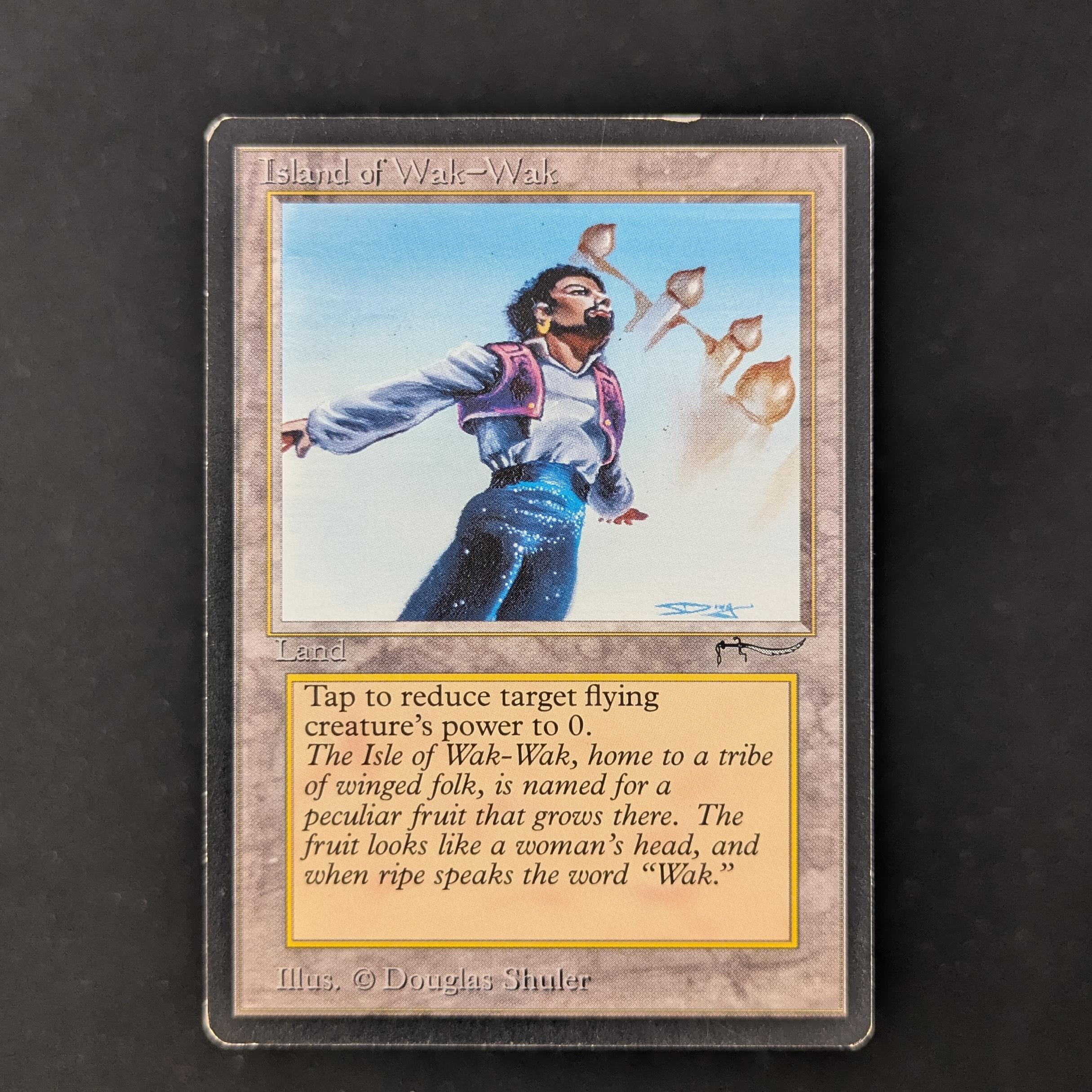 MTG Singles - Island of Wak-Wak - Arabian Nights - LP - 30135