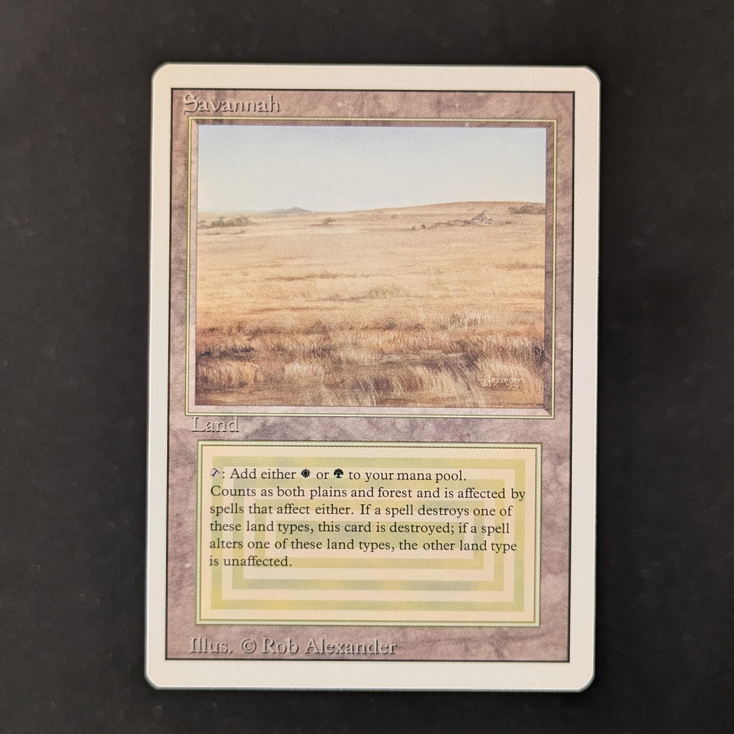 MTG Singles - Savannah - Revised - NM - 30201