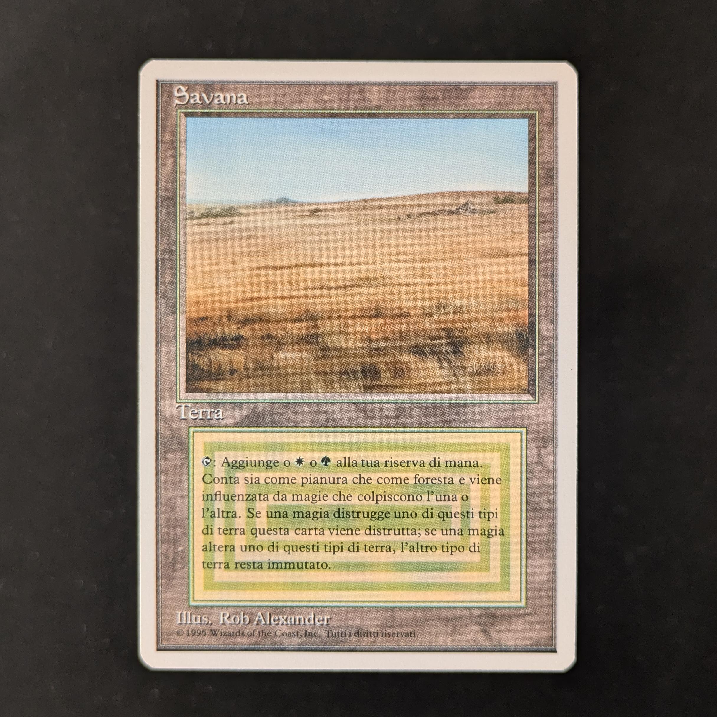 MTG Singles - Savannah - Foreign White Bordered - Italian - GD - 30232