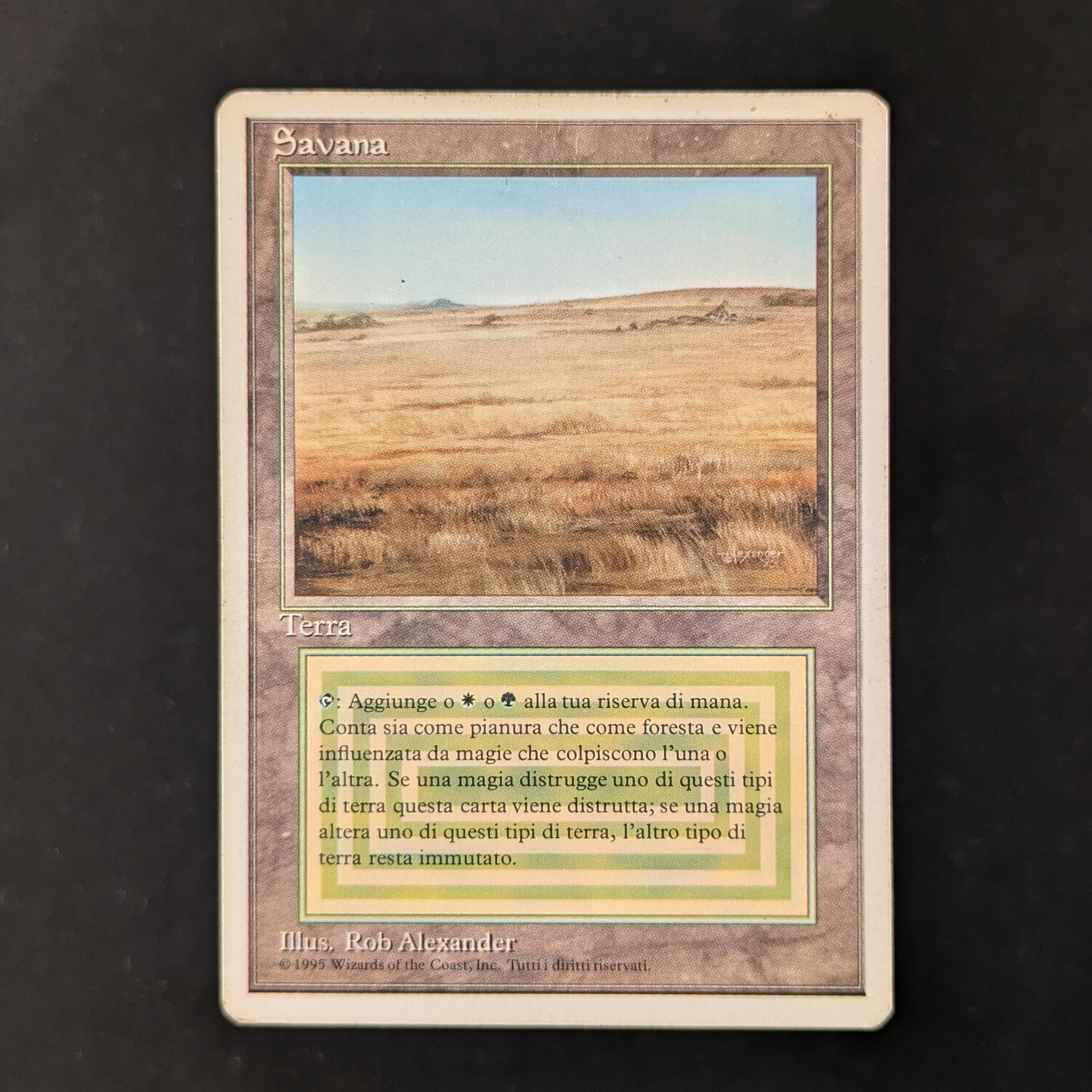 MTG Singles - Savannah - Foreign White Bordered - Italian - PO - INKED - 30233