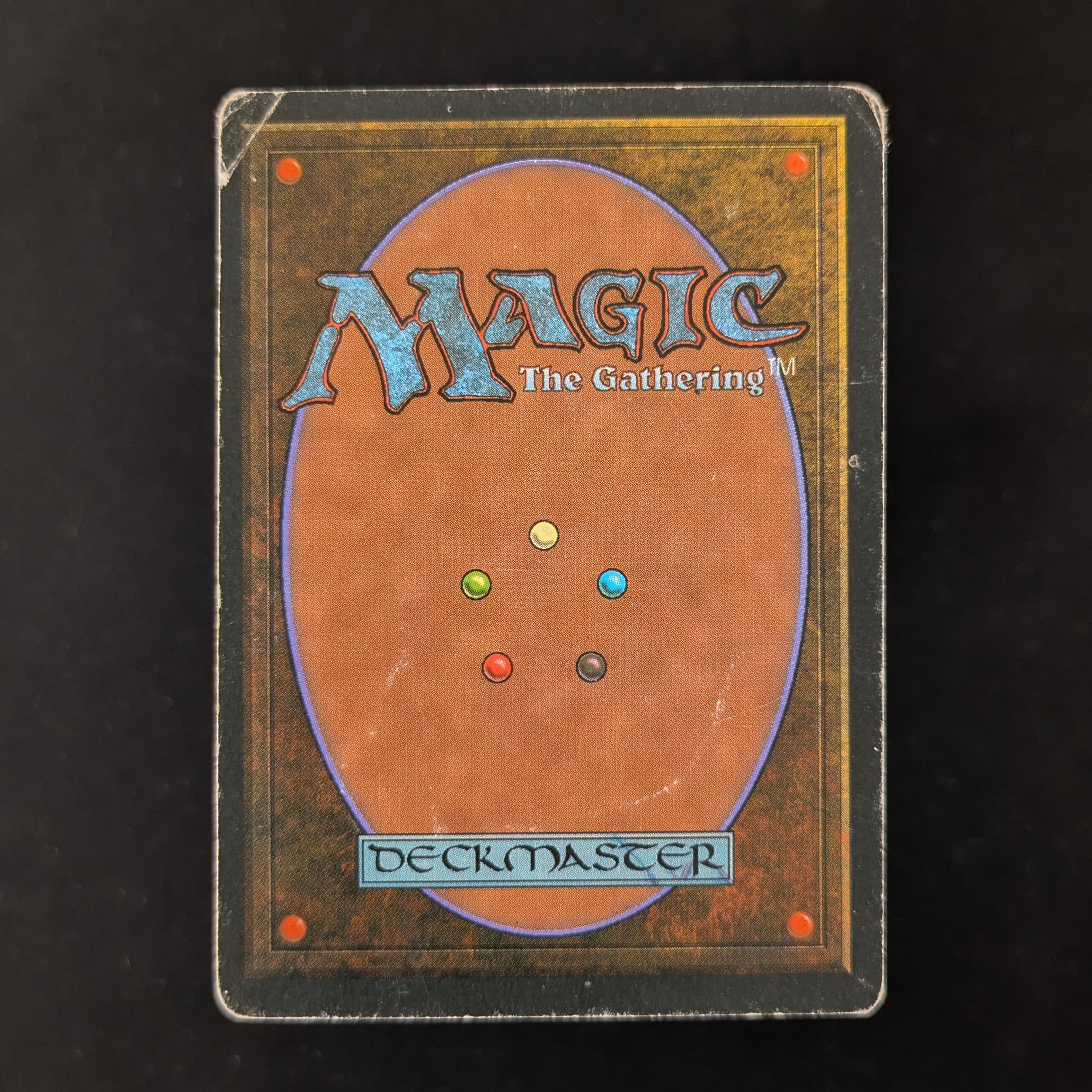 MTG Singles - Taiga - Foreign White Bordered - 