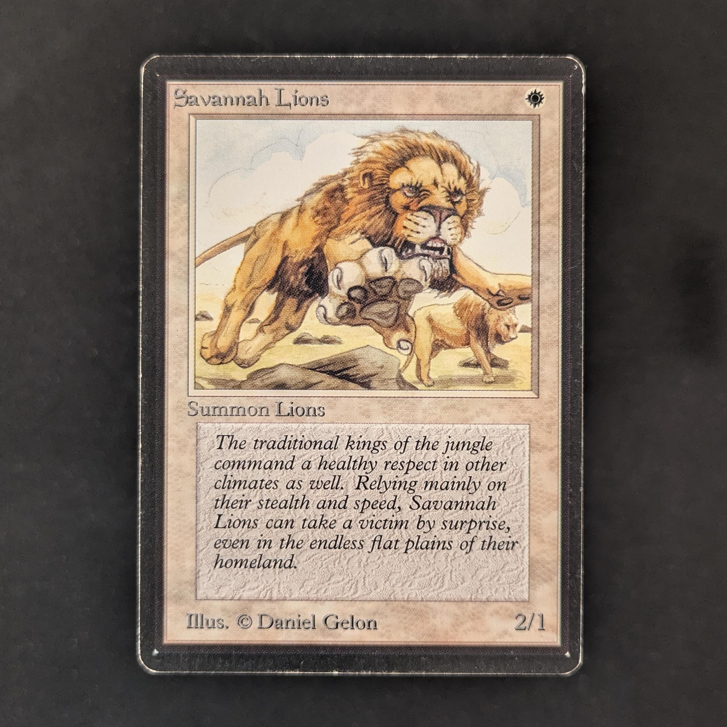MTG Singles - Savannah Lions - Beta - LP - 30371
