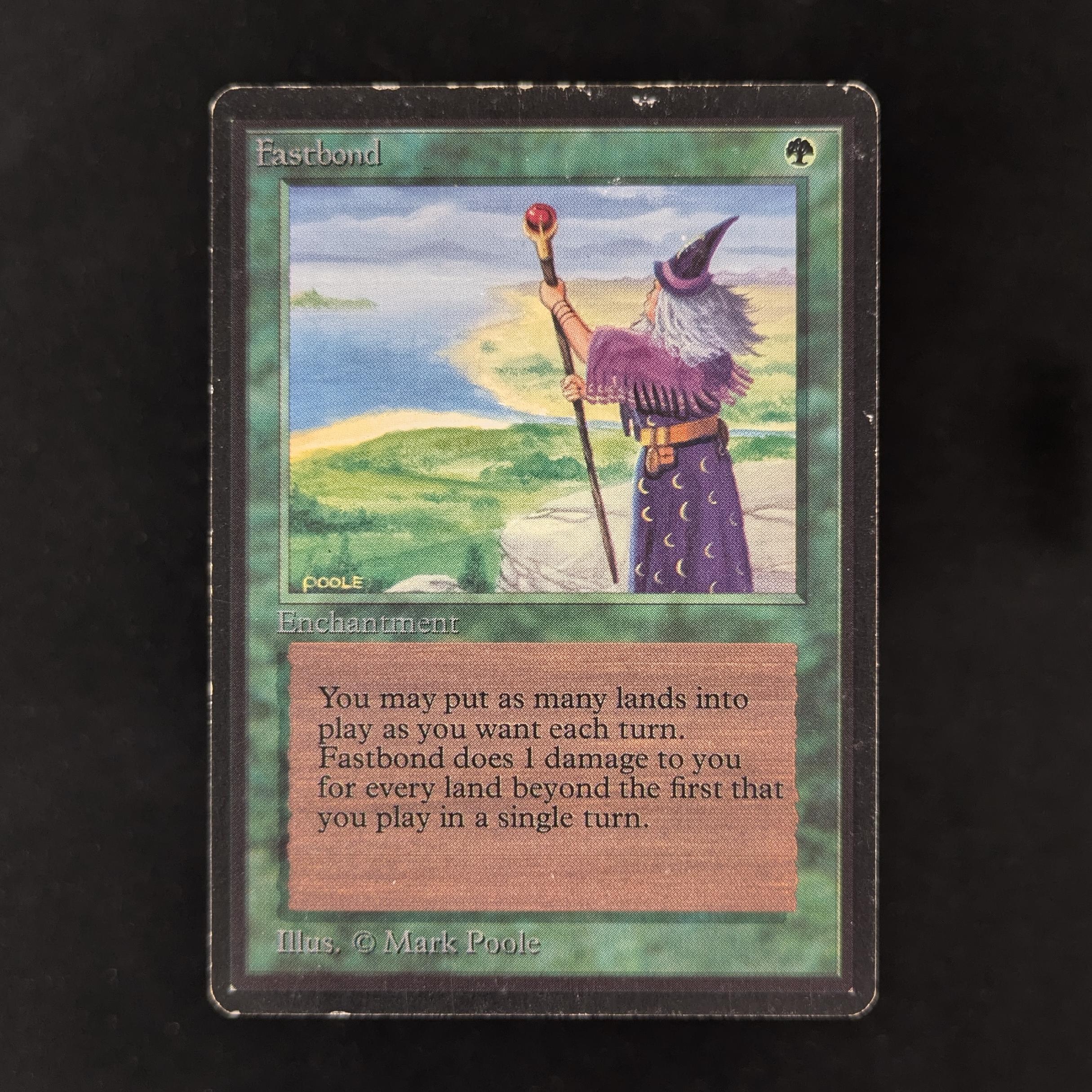 MTG Singles - Fastbond - Beta - PL - 30435