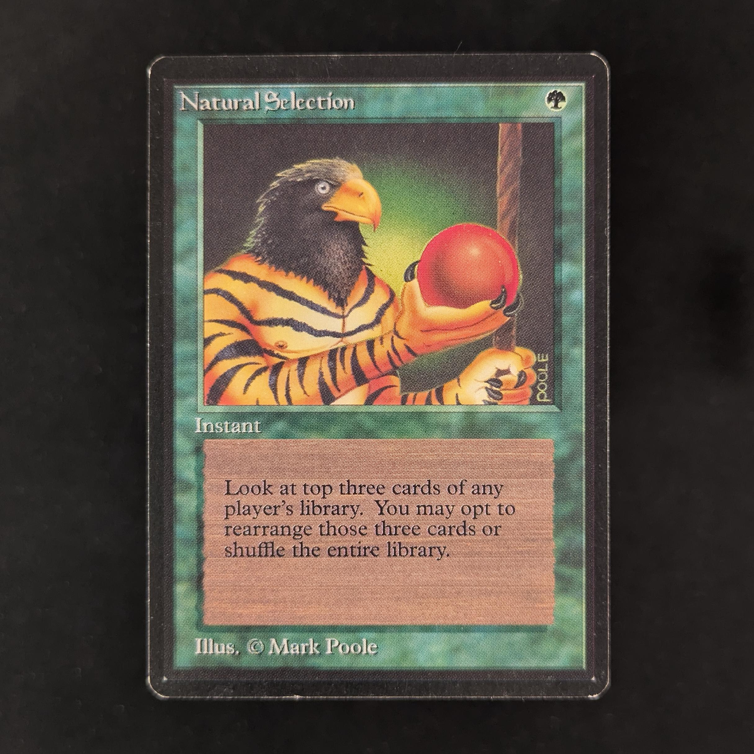 MTG Singles - Natural Selection - Beta - GD - 30443