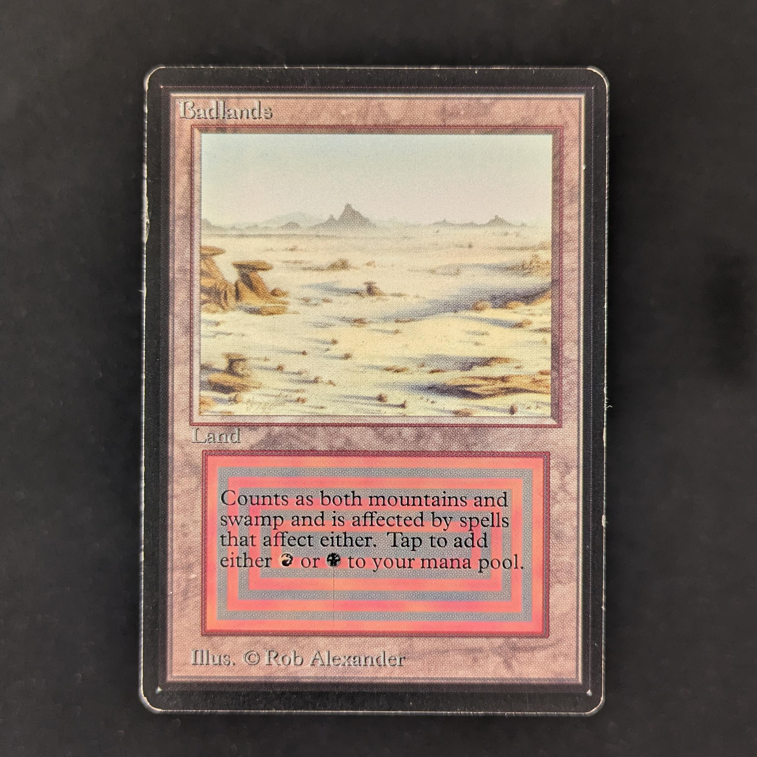 MTG Singles - Badlands - Beta - PL - 30475