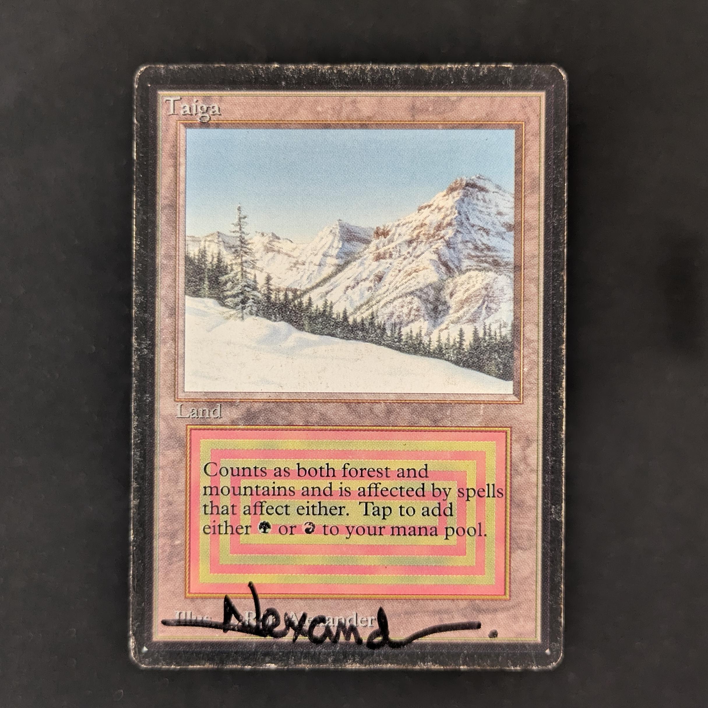 MTG Singles - Taiga - Beta - PO - SIGNED - 30479