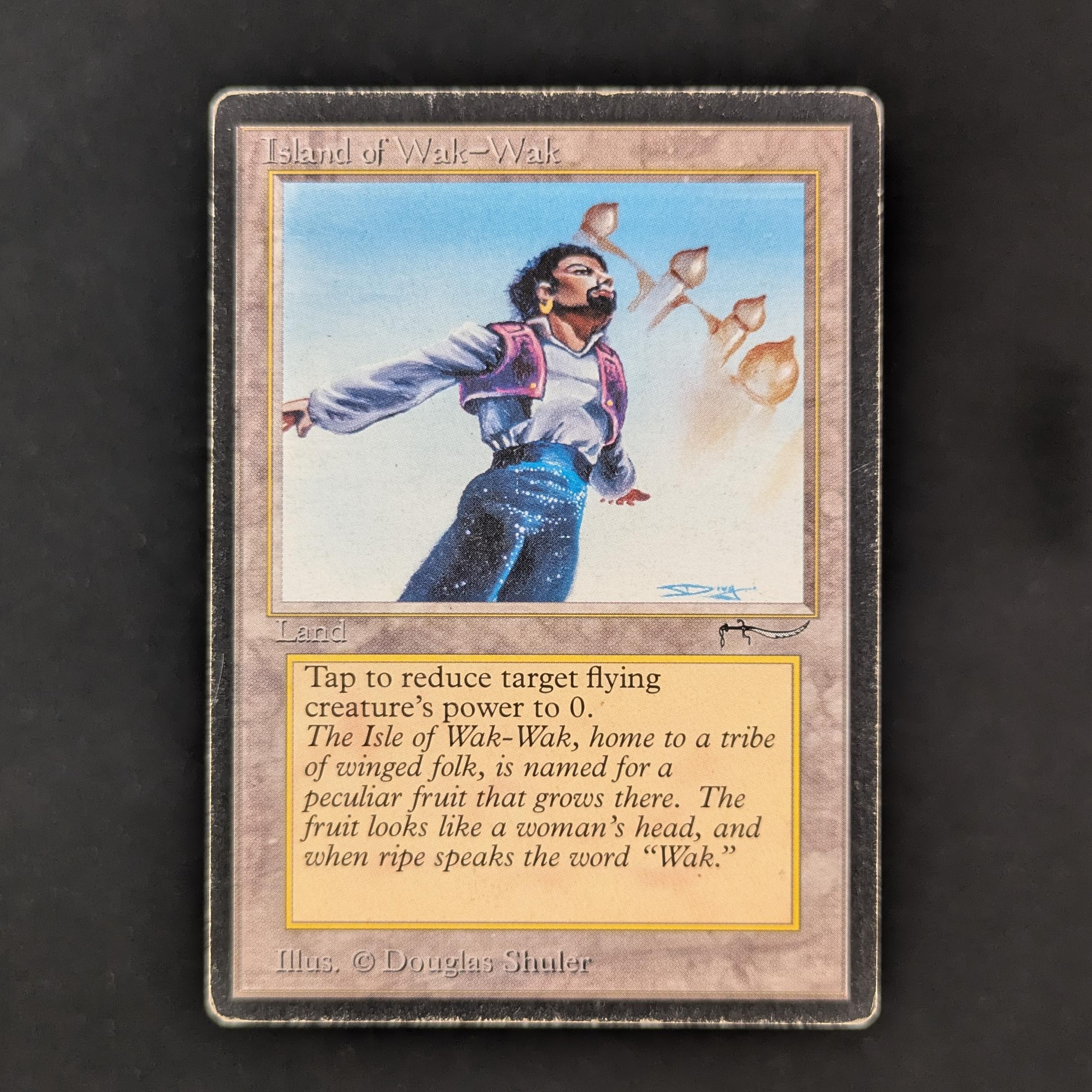 MTG Singles - Island of Wak-Wak - Arabian Nights - PL - 30535