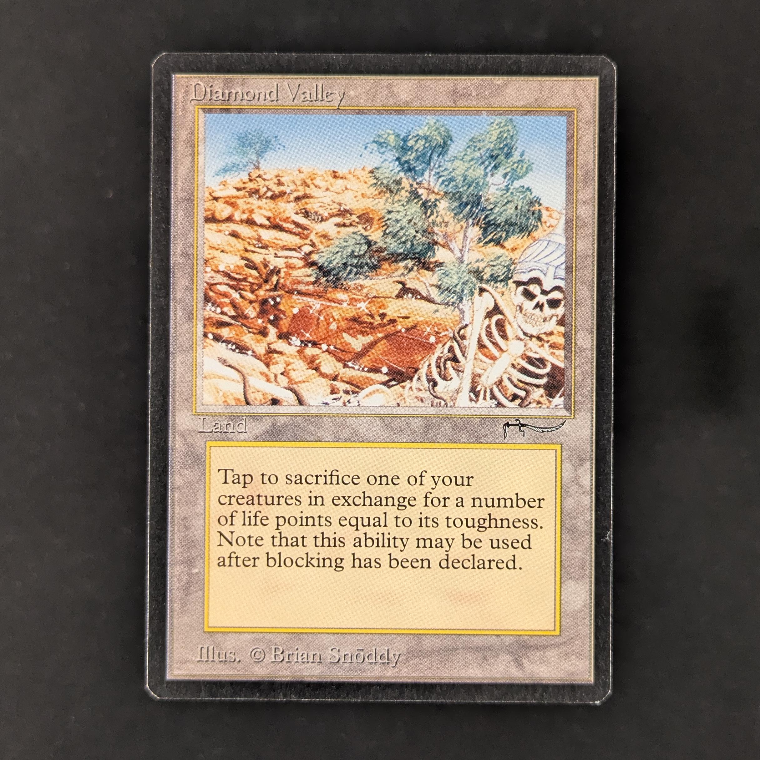 MTG Singles - Diamond Valley - Arabian Nights - EX - 30631