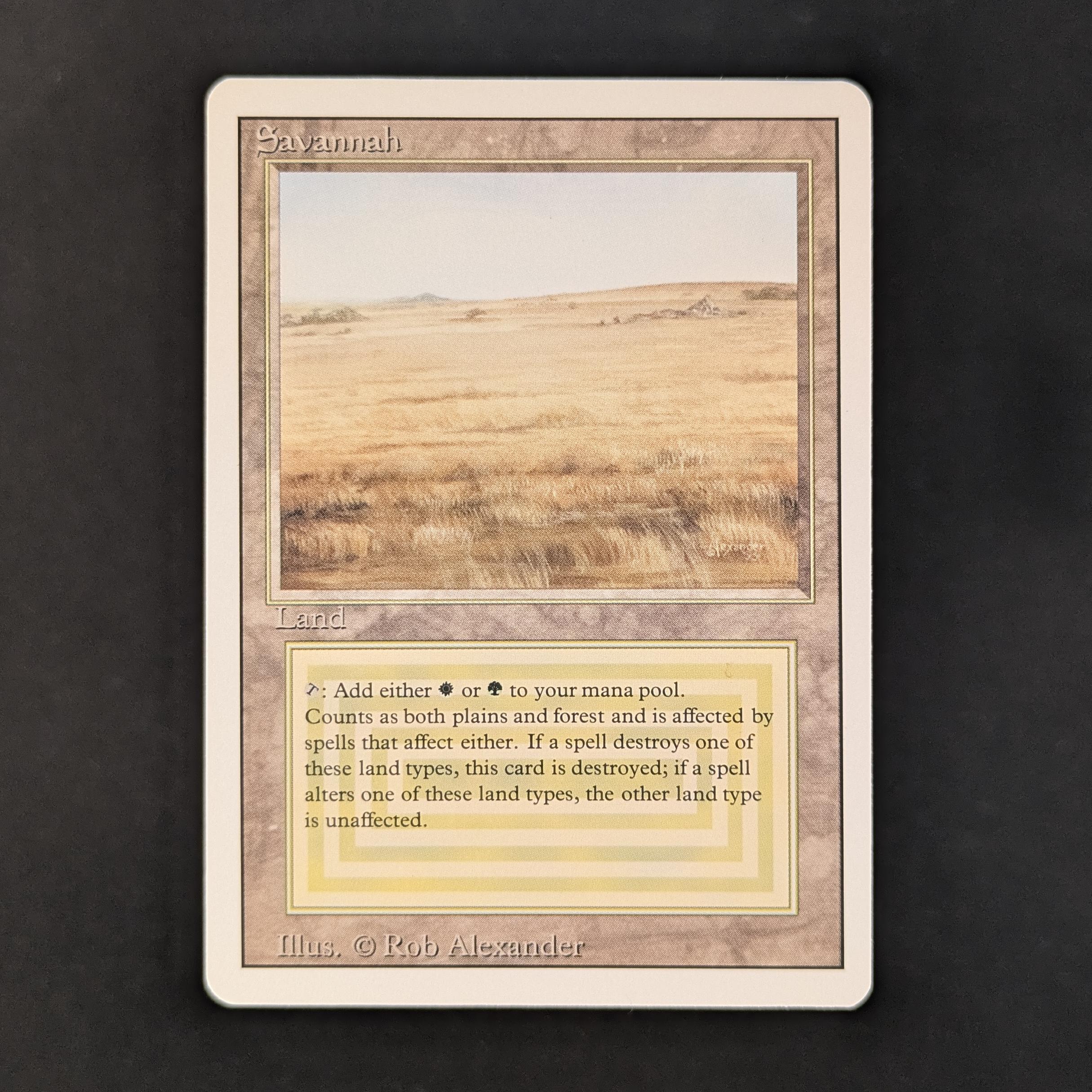 MTG Singles - Savannah - Revised - NM - 31052