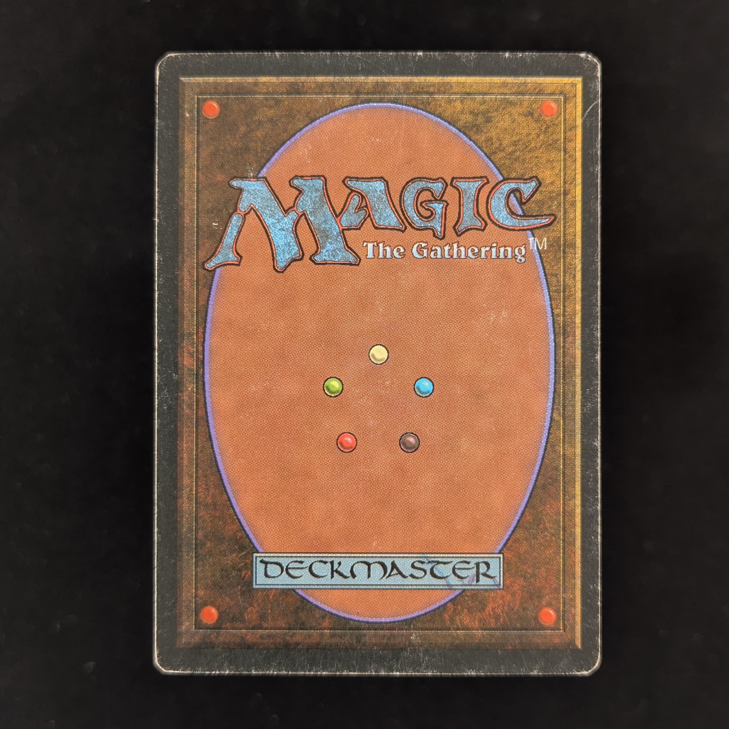 MTG Singles - Taiga - Foreign White Bordered - 