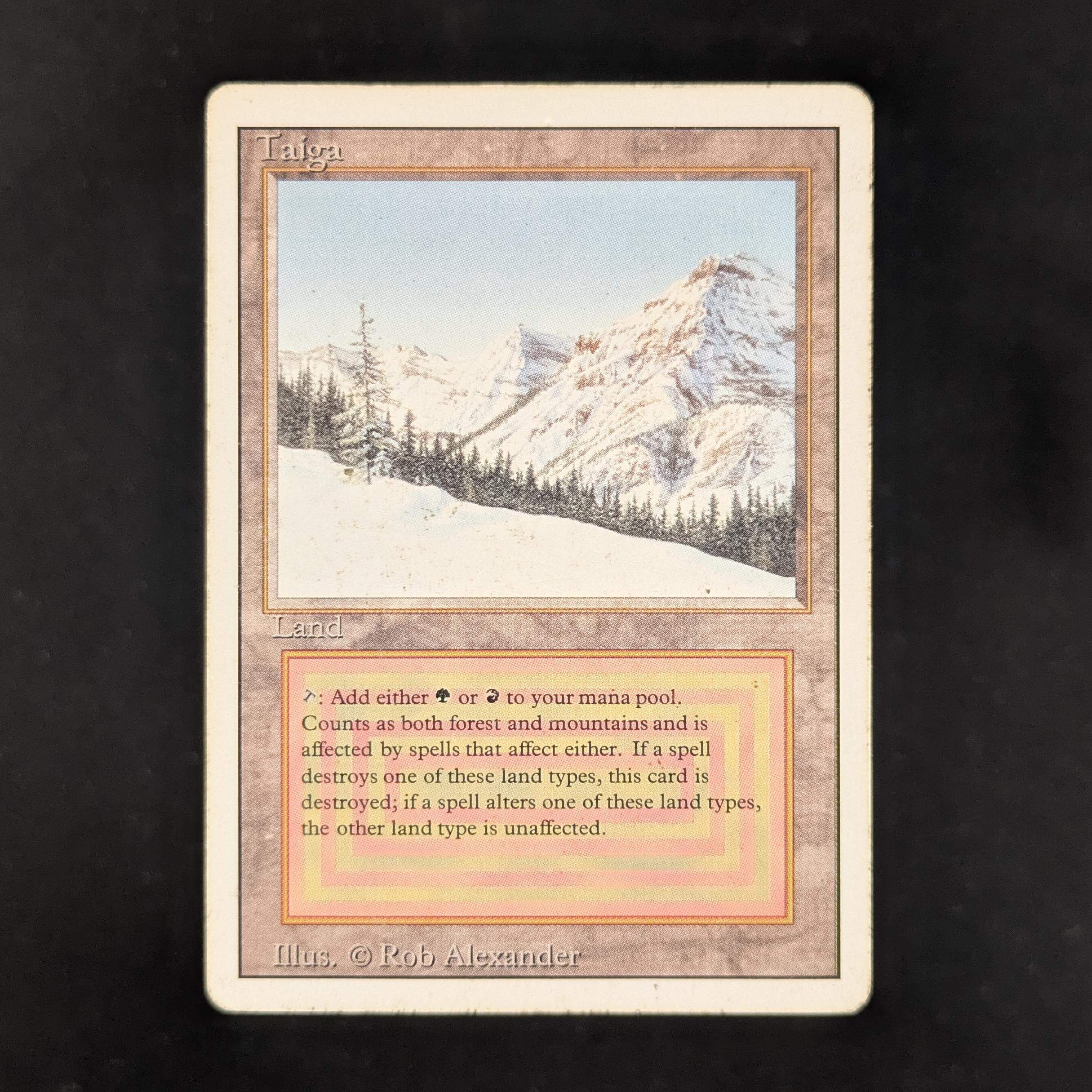 MTG Singles - Taiga - Revised - PL - 31195