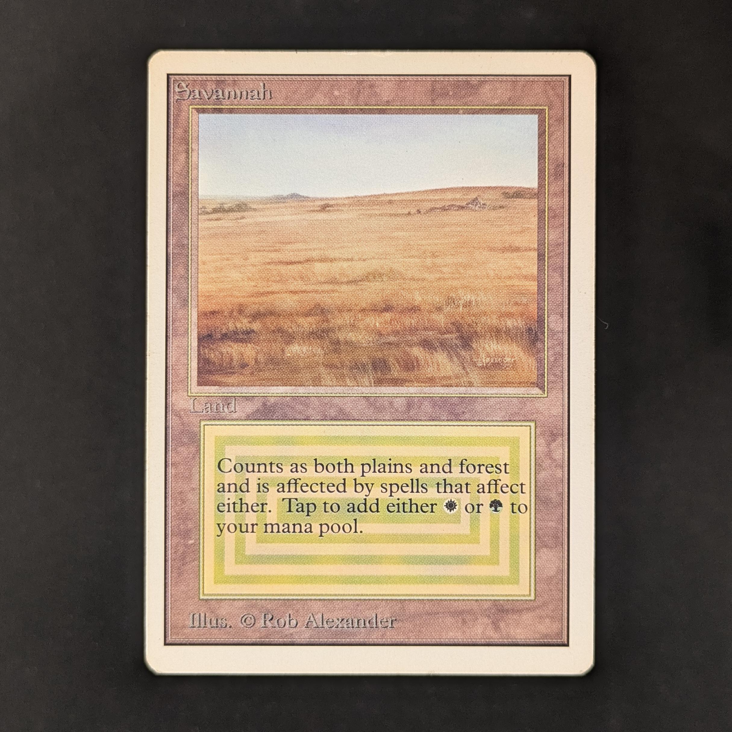 MTG Singles - Savannah - Unlimited - LP - 31234