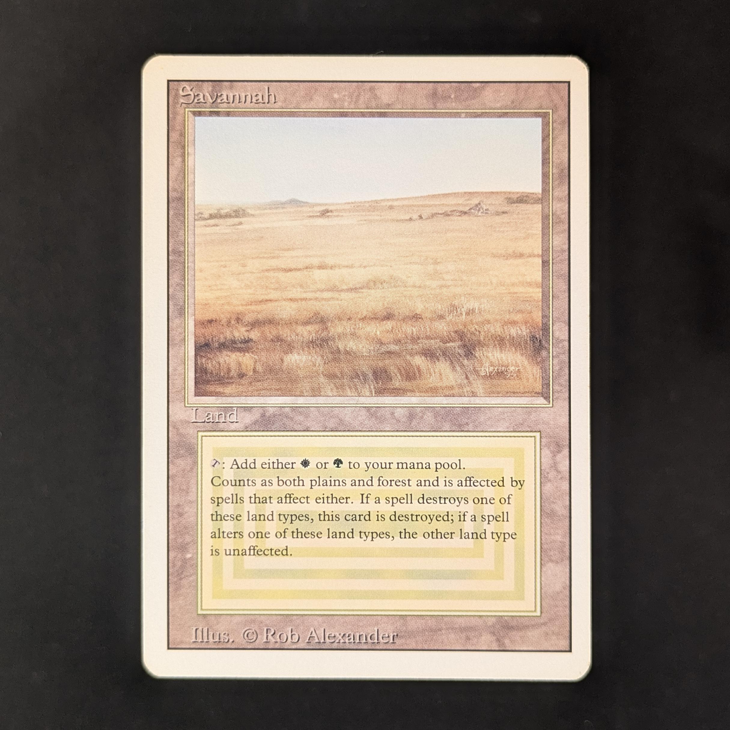 MTG Singles - Savannah - Revised - GD - 31272