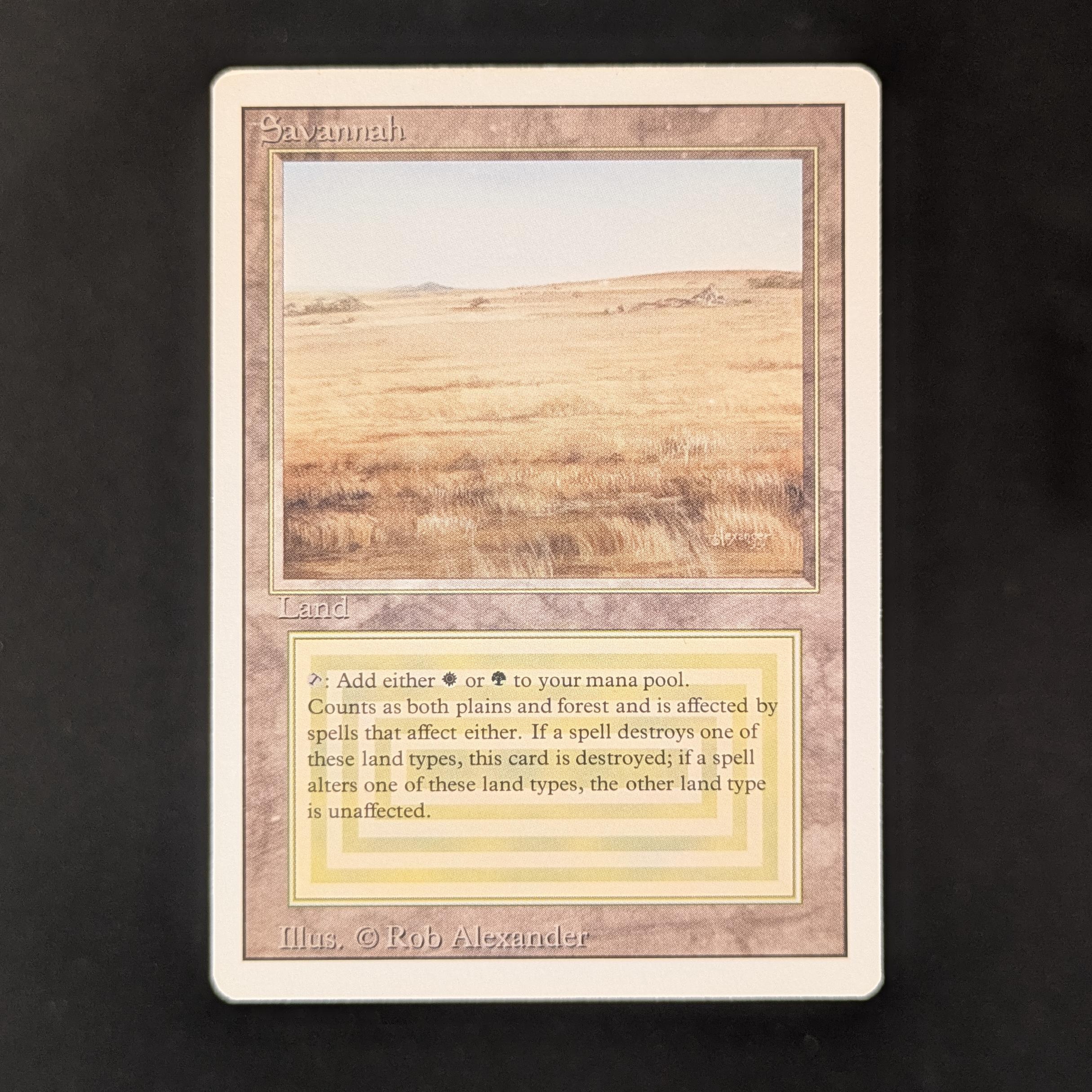 MTG Singles - Savannah - Revised - LP - 31277