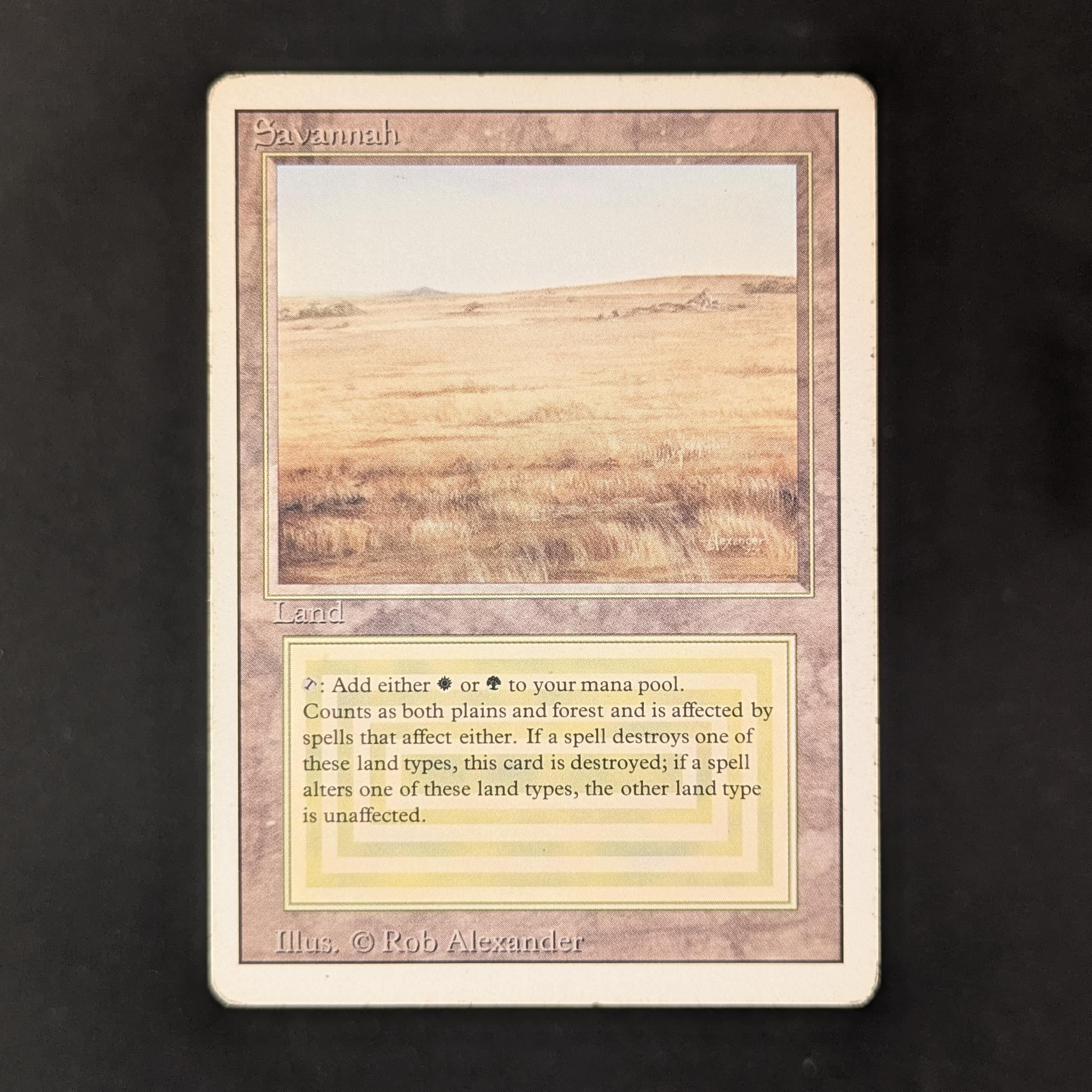 MTG Singles - Savannah - Revised - PL - 31279