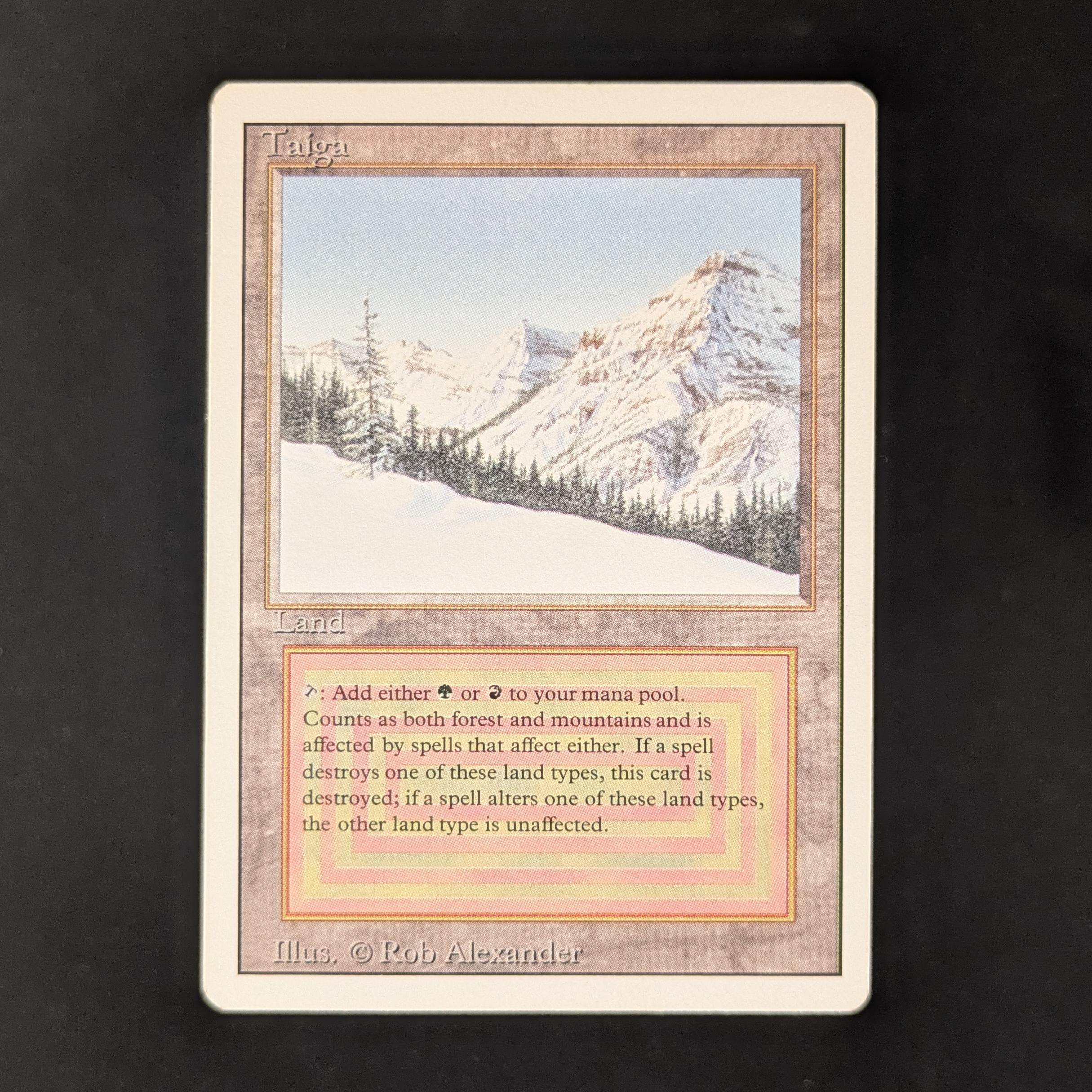 MTG Singles - Taiga - Revised - GD - 31286