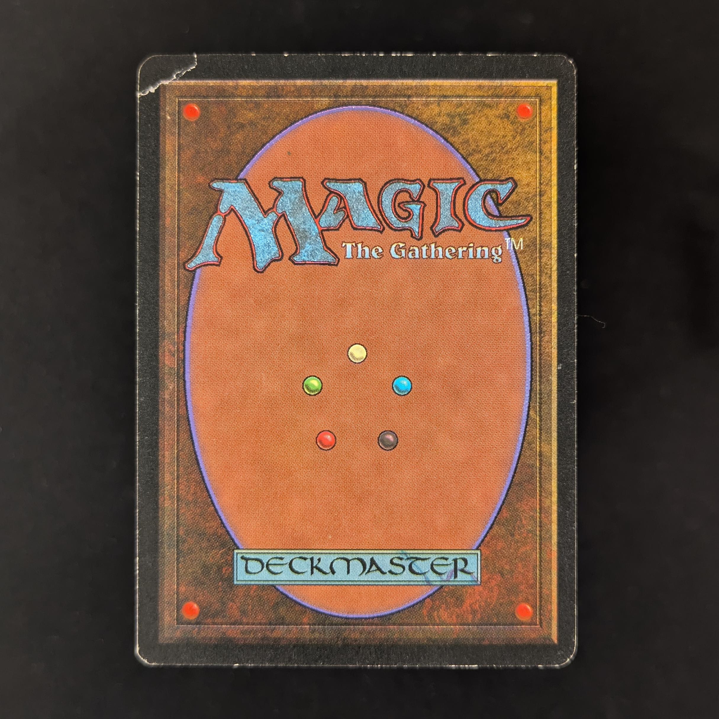 MTG Singles - Tundra - Revised - 