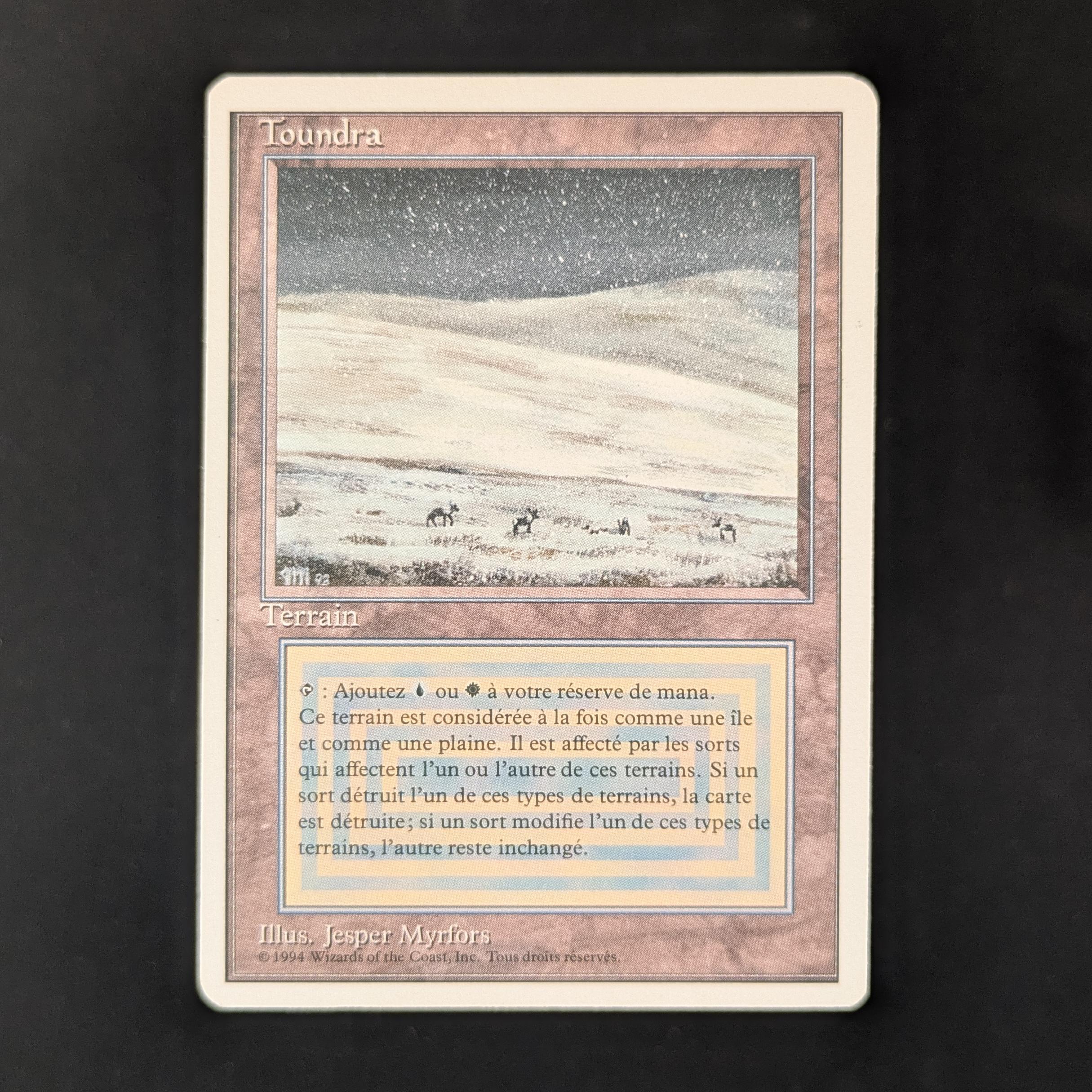 MTG Singles - Tundra - Foreign White Bordered - French - GD - 31337
