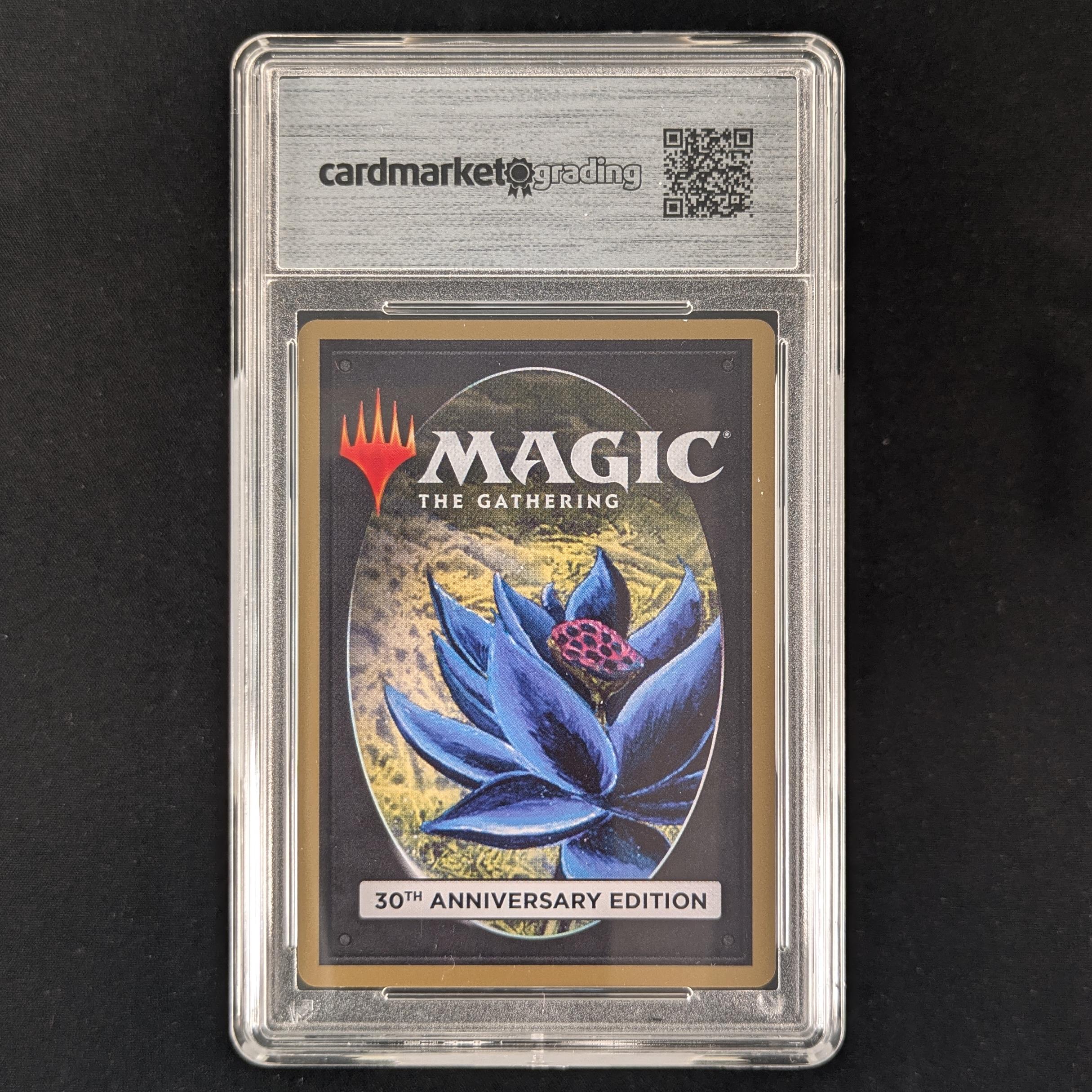 MTG Singles - Volcanic Island (Modern Frame) - 30th Anniversary Edition - 