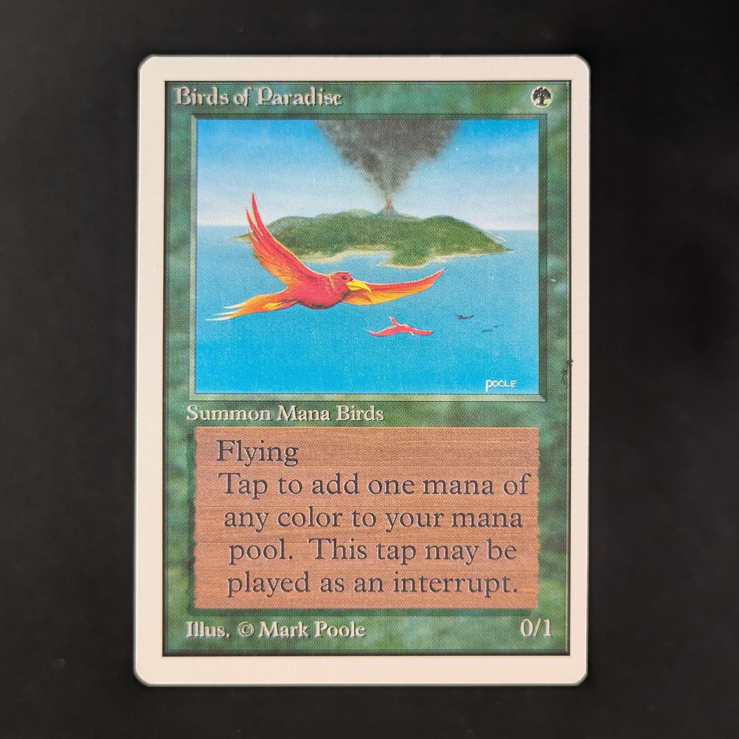 MTG Singles - Birds of Paradise - Unlimited - NM - 31406