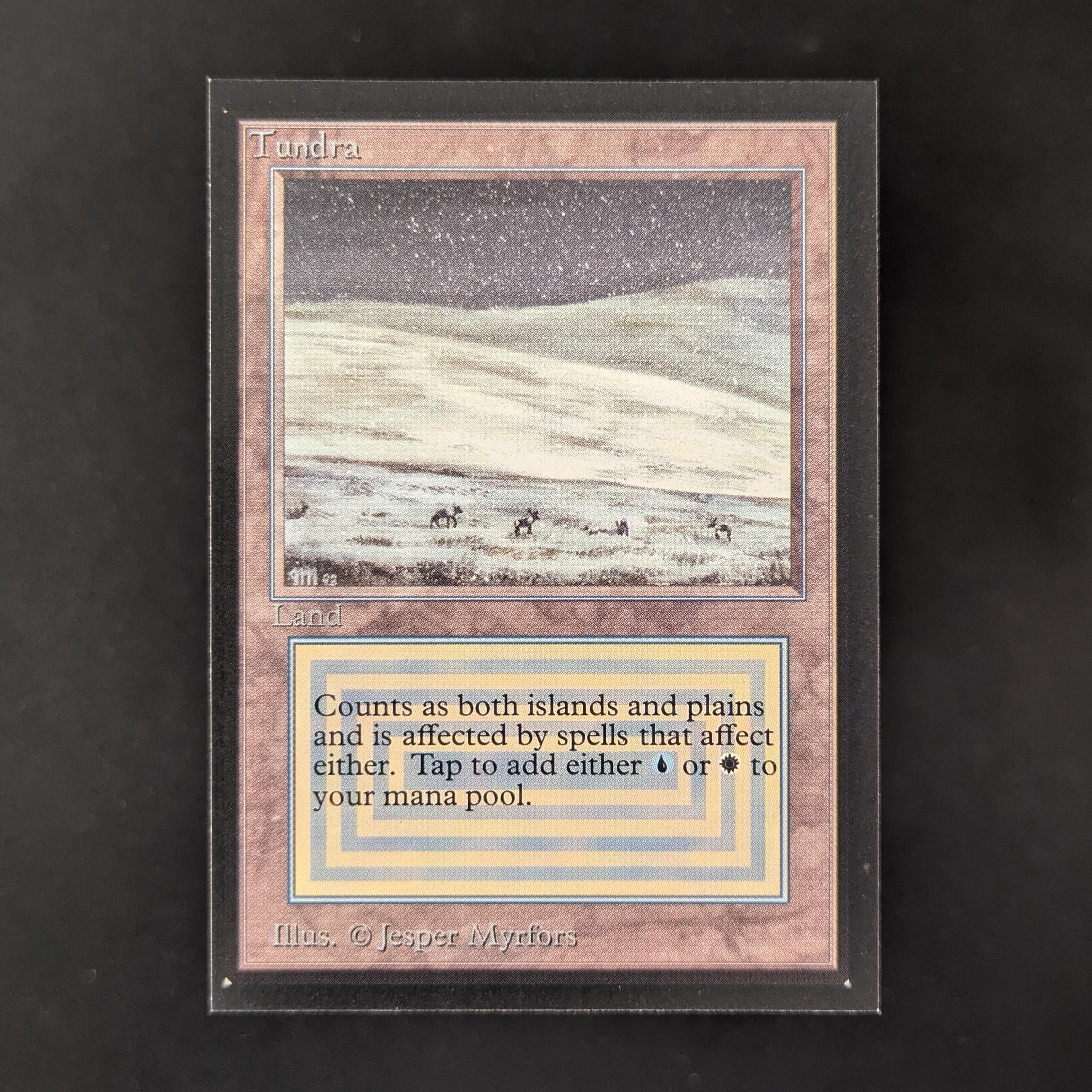 MTG Singles - Tundra - Collectors' Edition - NM - 31433