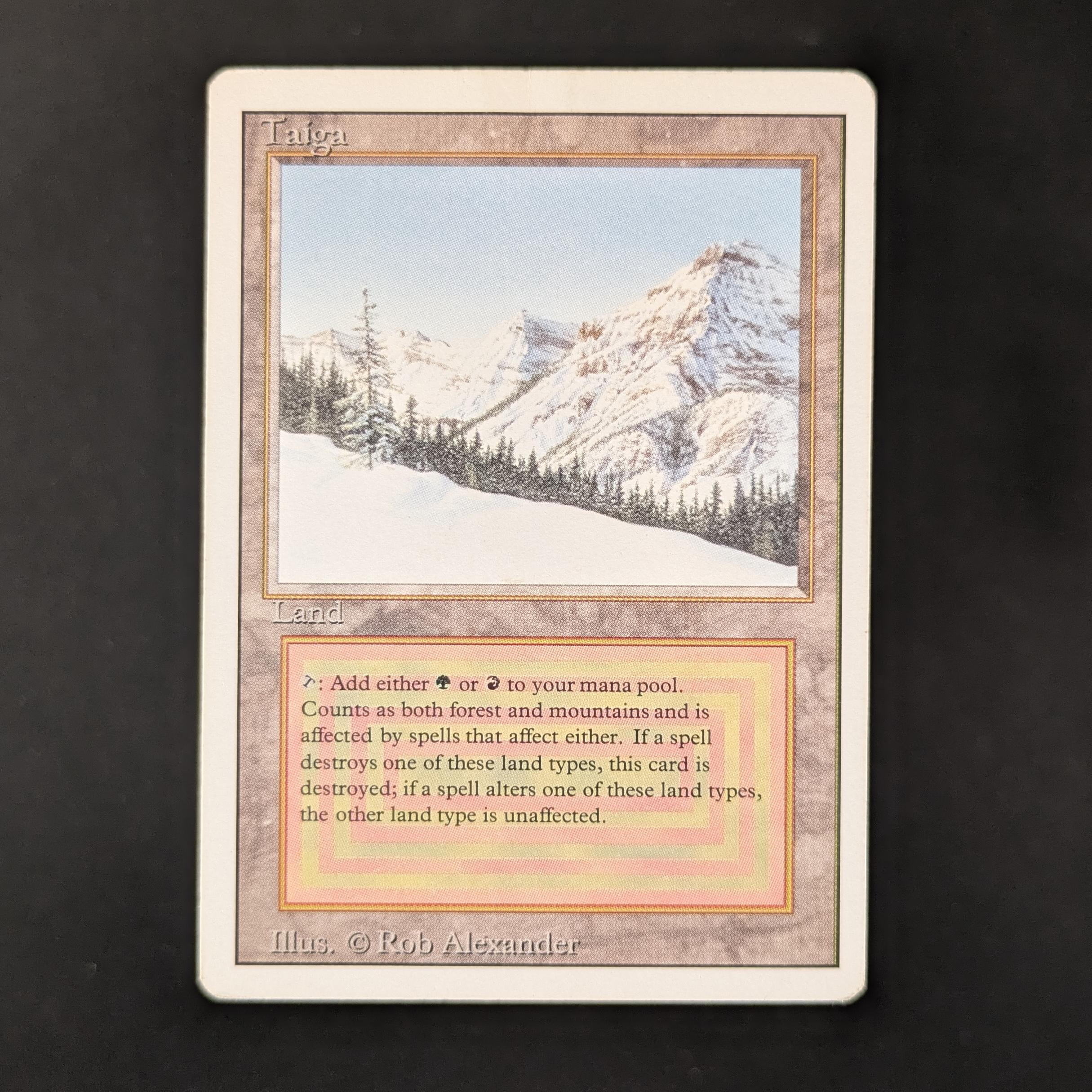 MTG Singles - Taiga - Revised - PL - DENT - 31446