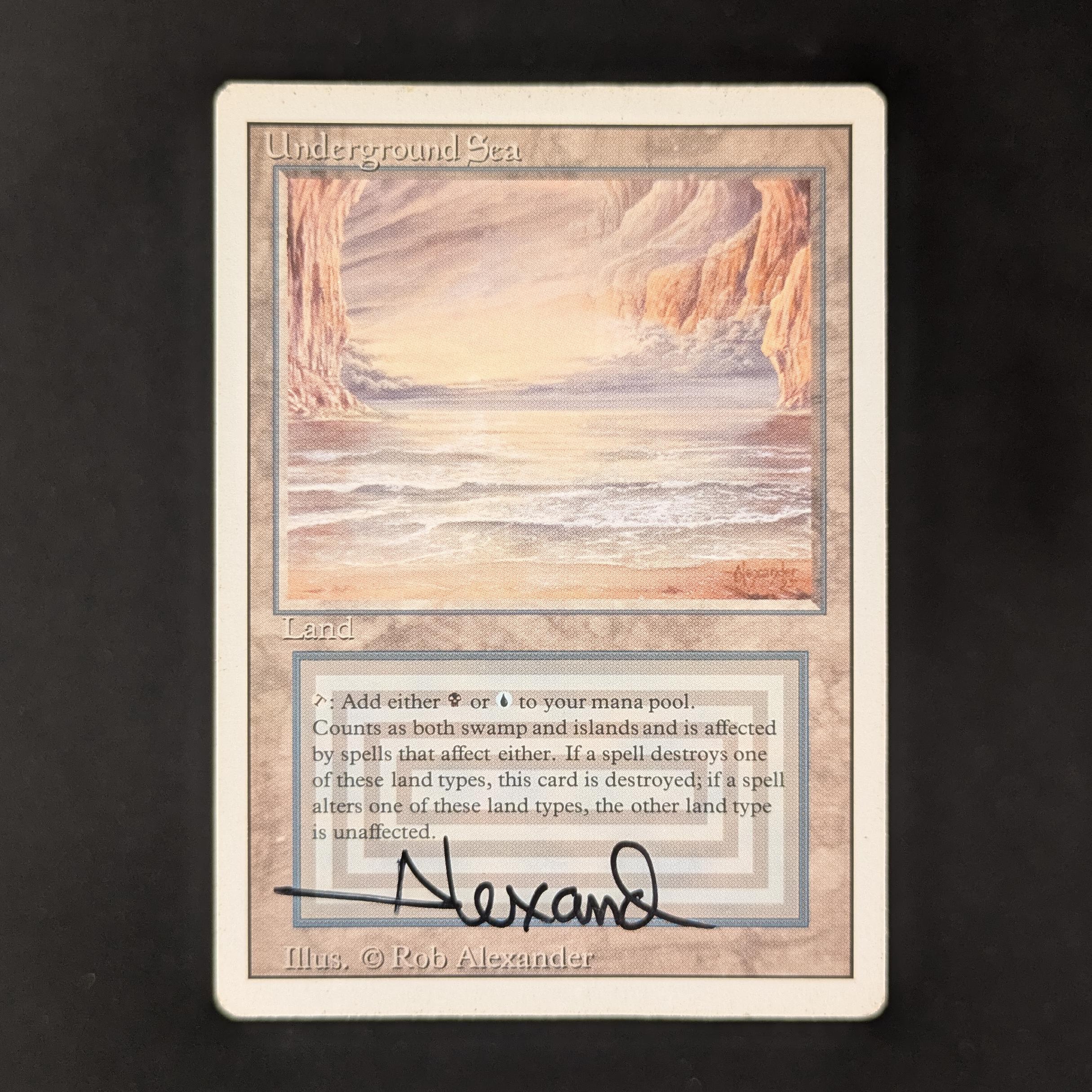 MTG Singles - Underground Sea - Revised - LP - SIGNED - 31456