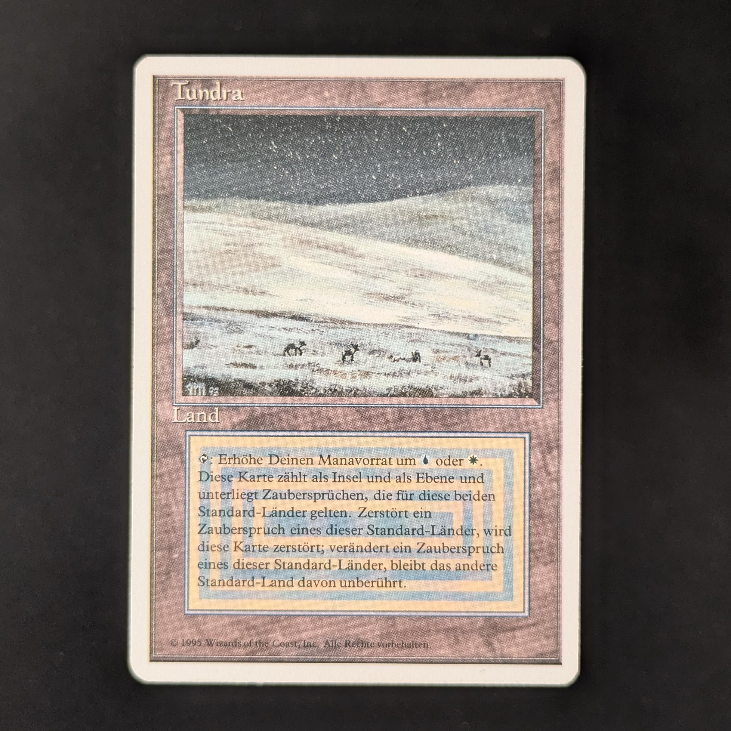 MTG Singles - Tundra - Foreign White Bordered - German - LP - 31463