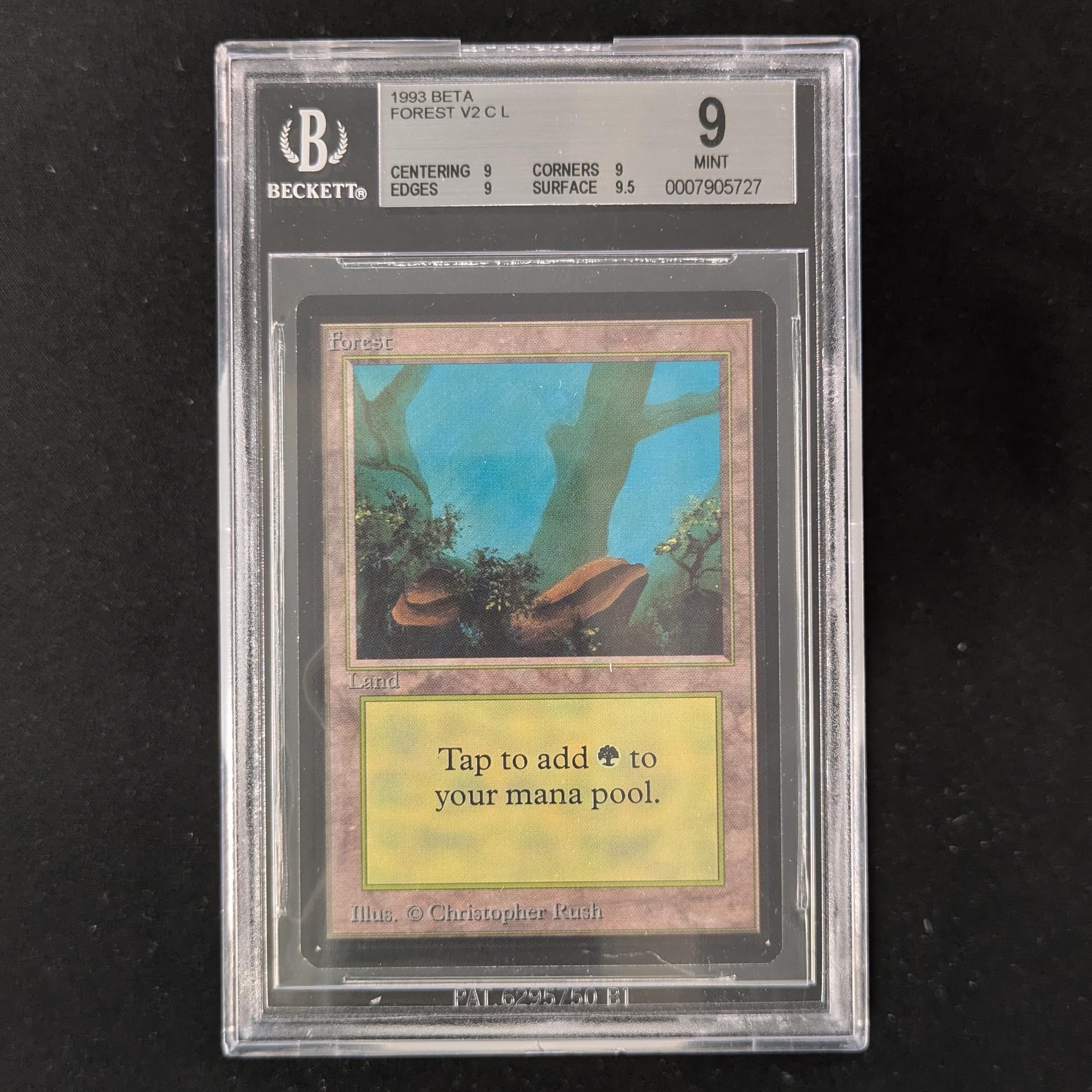 MTG Singles - Forest (V.1) - Beta - BGS 9 - 