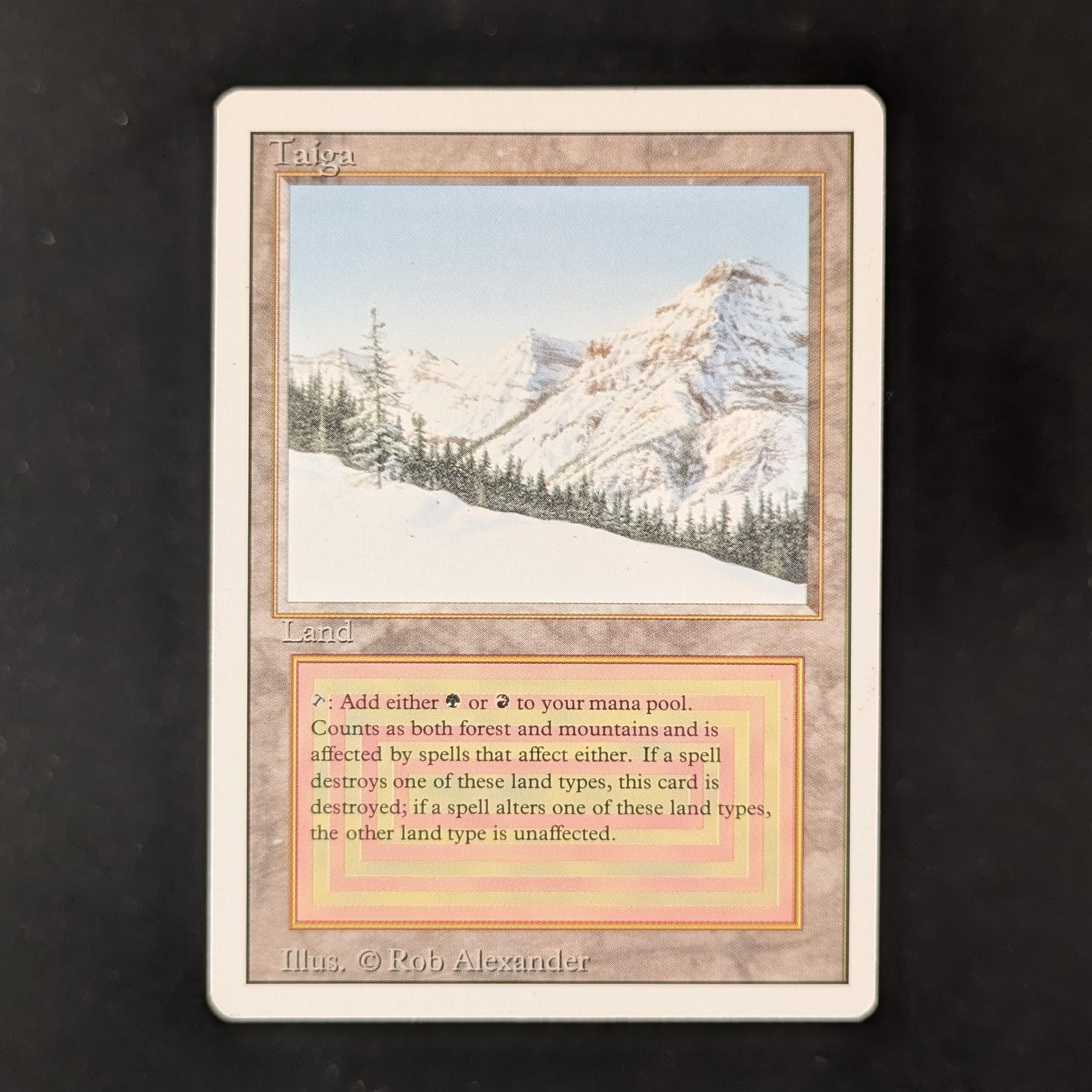 MTG Singles - Taiga - Revised - GD - 31719