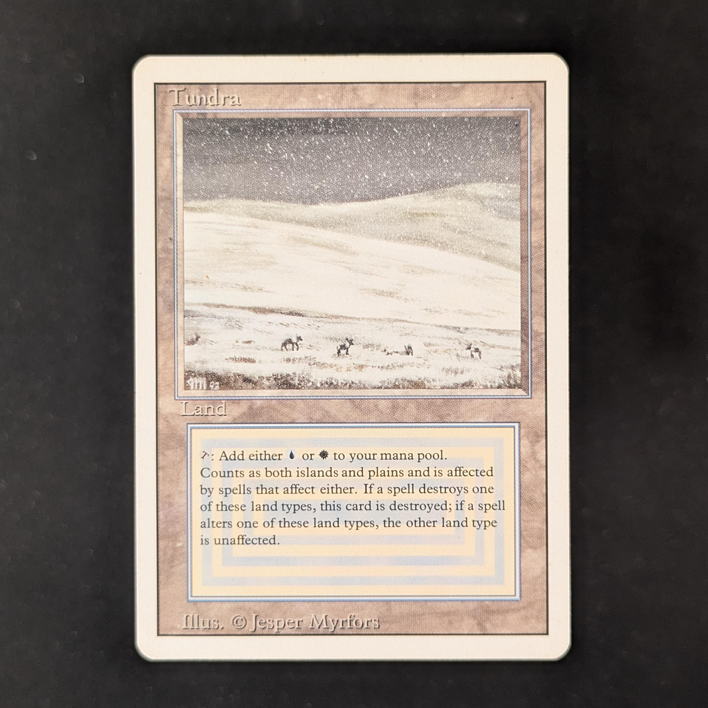 MTG Singles - Tundra - Revised - LP - 31784